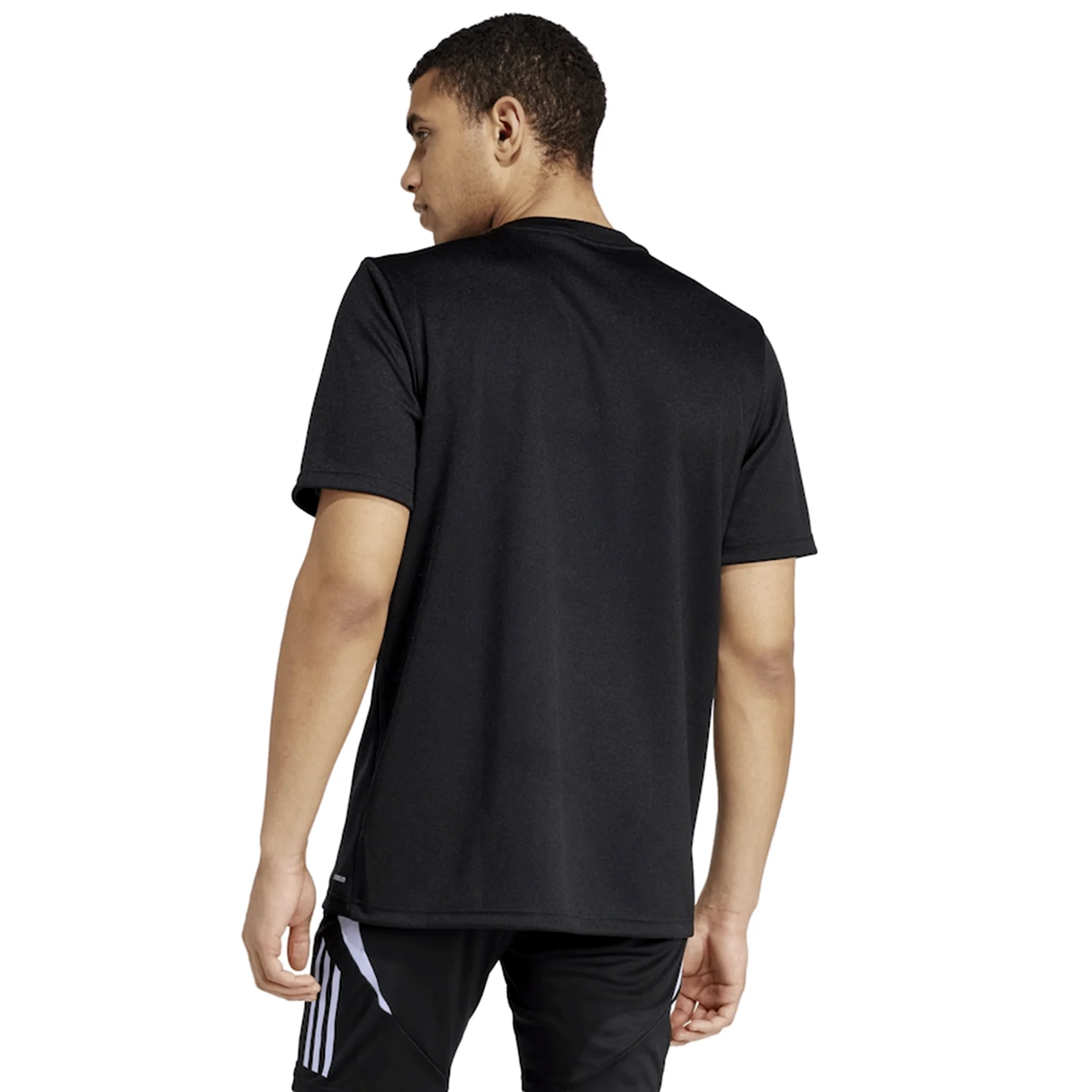 All Blacks 24/25 Supporters T-Shirt by Adidas - Image 4