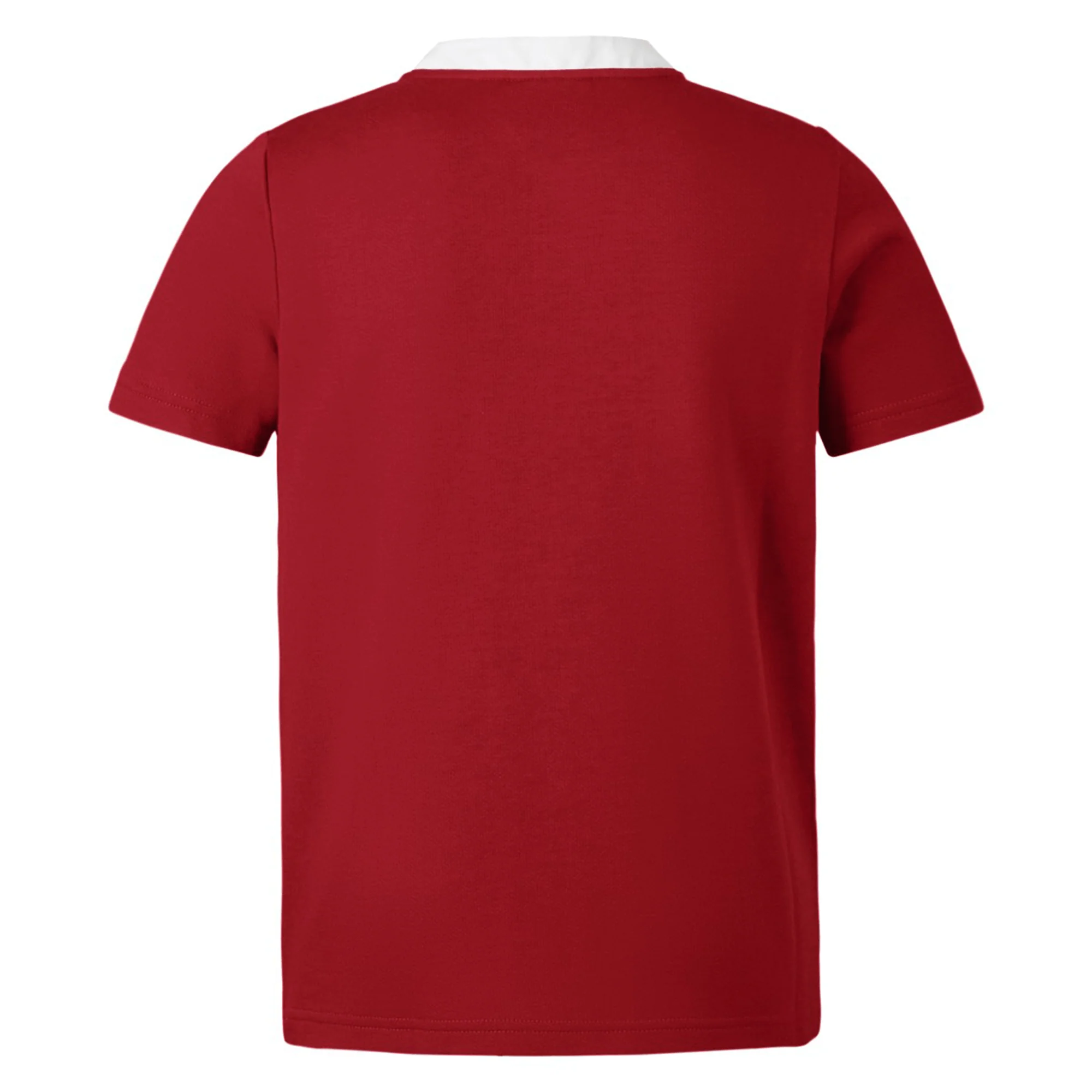 British & Irish Lions 2025 Classic Jersey by Canterbury - Image 2