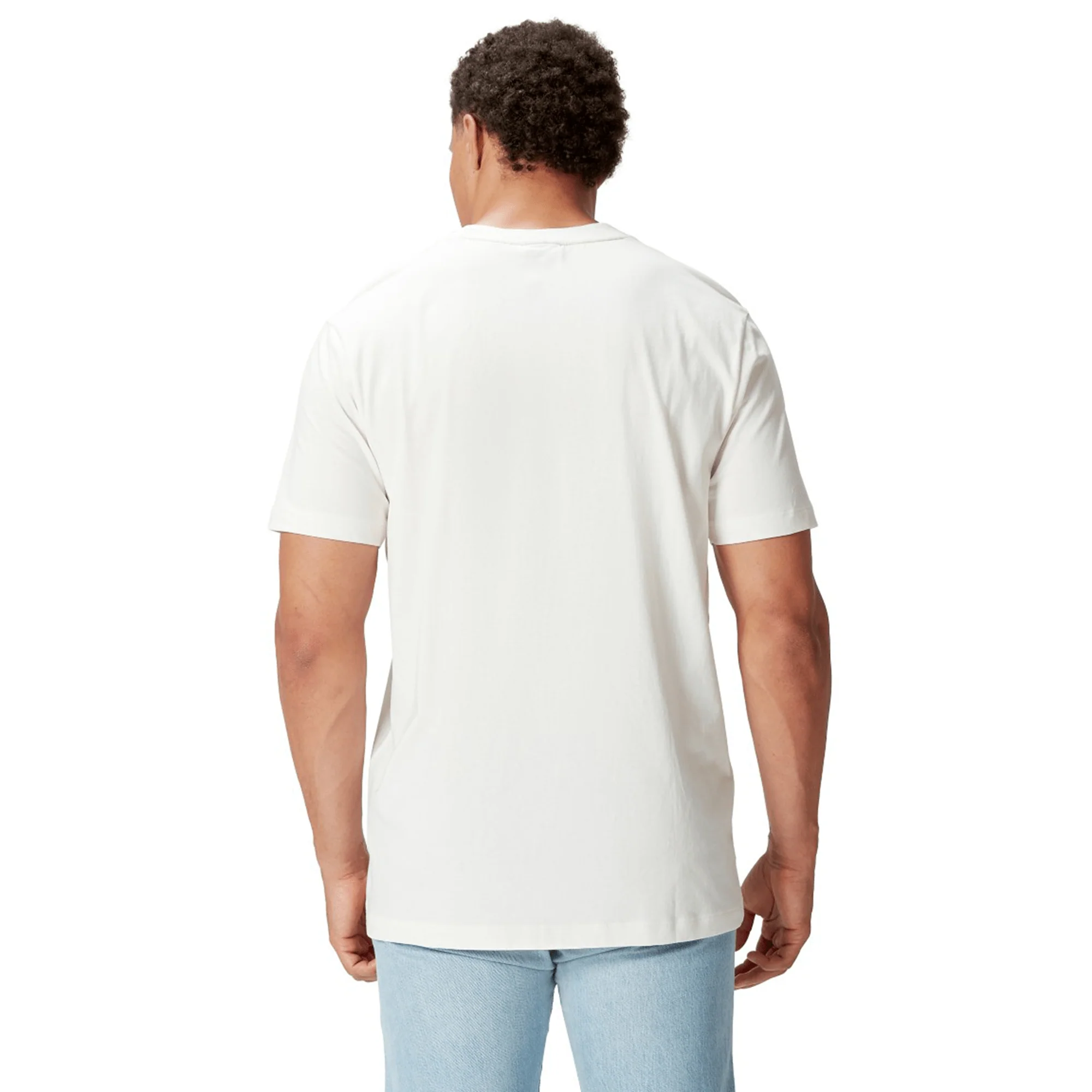 British & Irish Lions 2025 Cotton Jersey Tee by Canterbury - Image 10