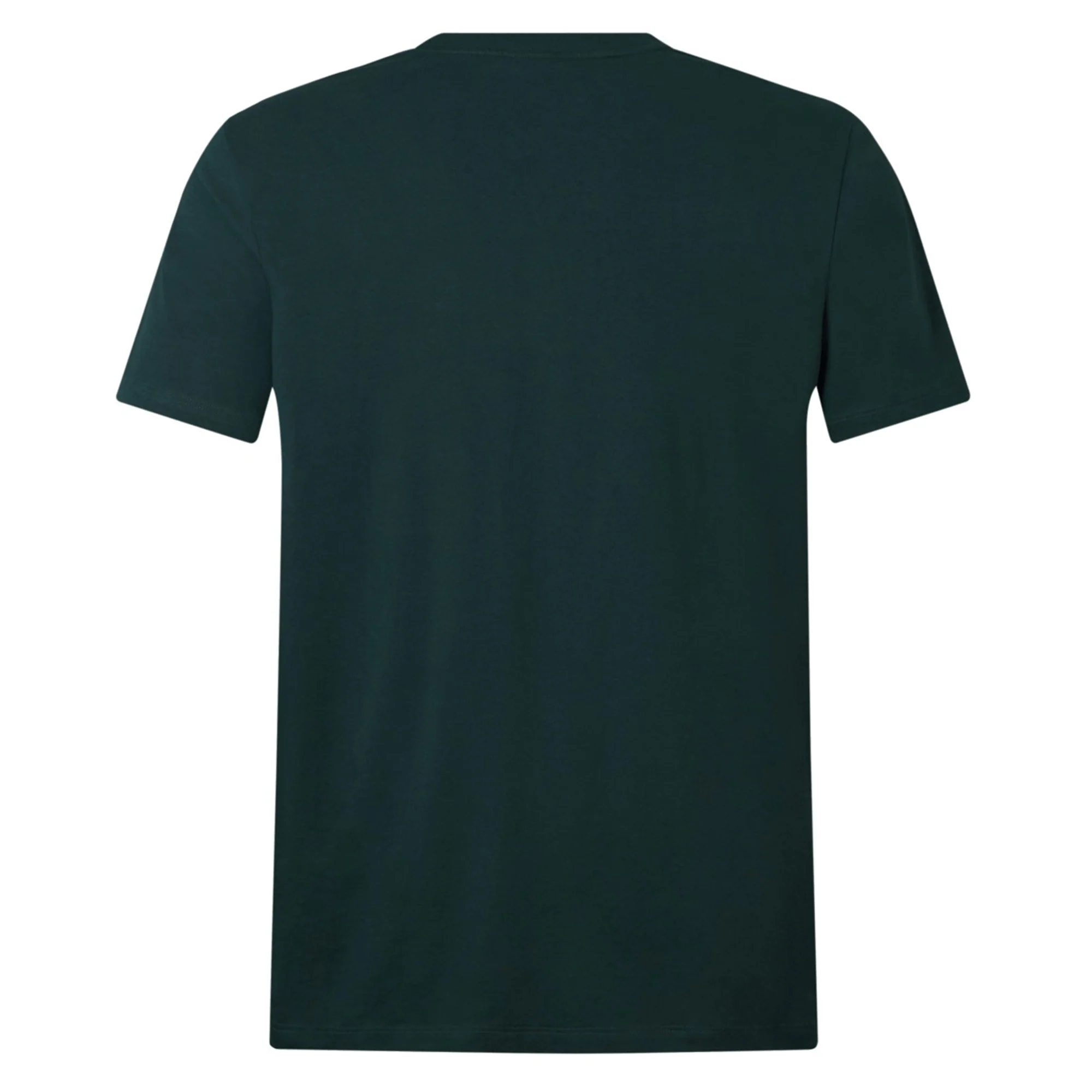 British & Irish Lions 2025 Cotton Jersey Tee by Canterbury - Image 13