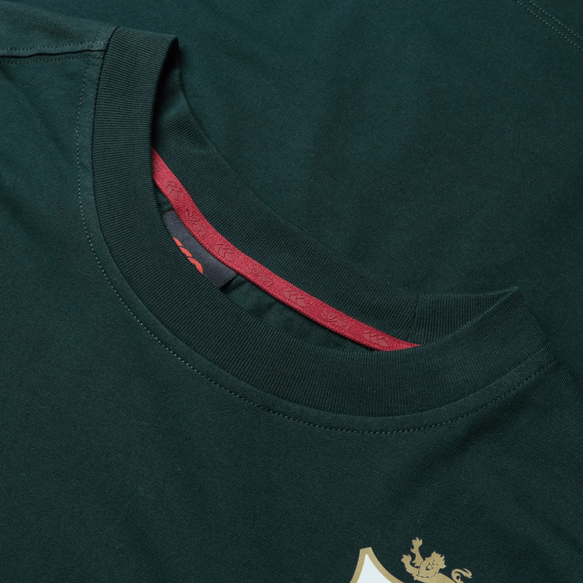 British & Irish Lions 2025 Cotton Jersey Tee by Canterbury - Image 14