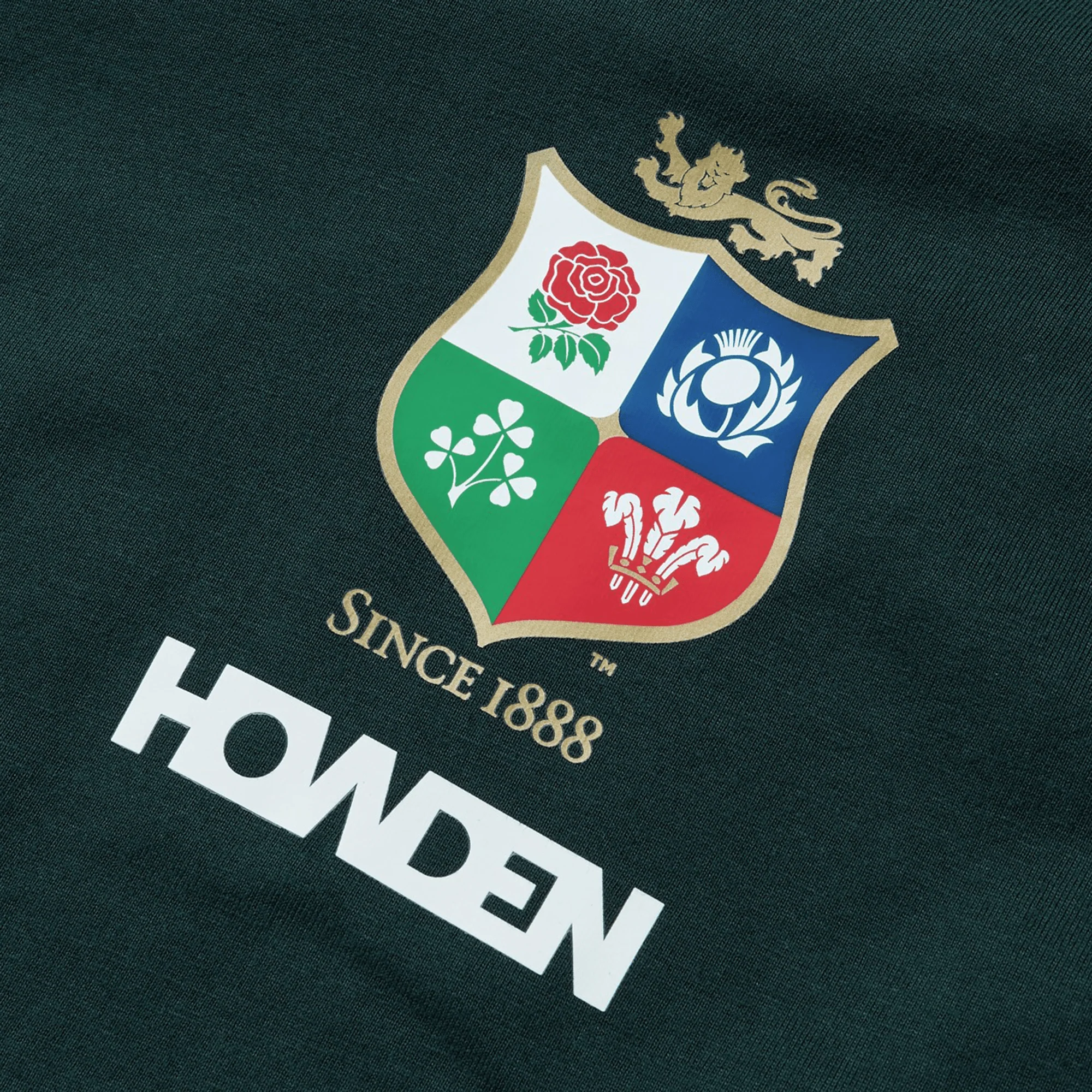 British & Irish Lions 2025 Cotton Jersey Tee by Canterbury - Image 15