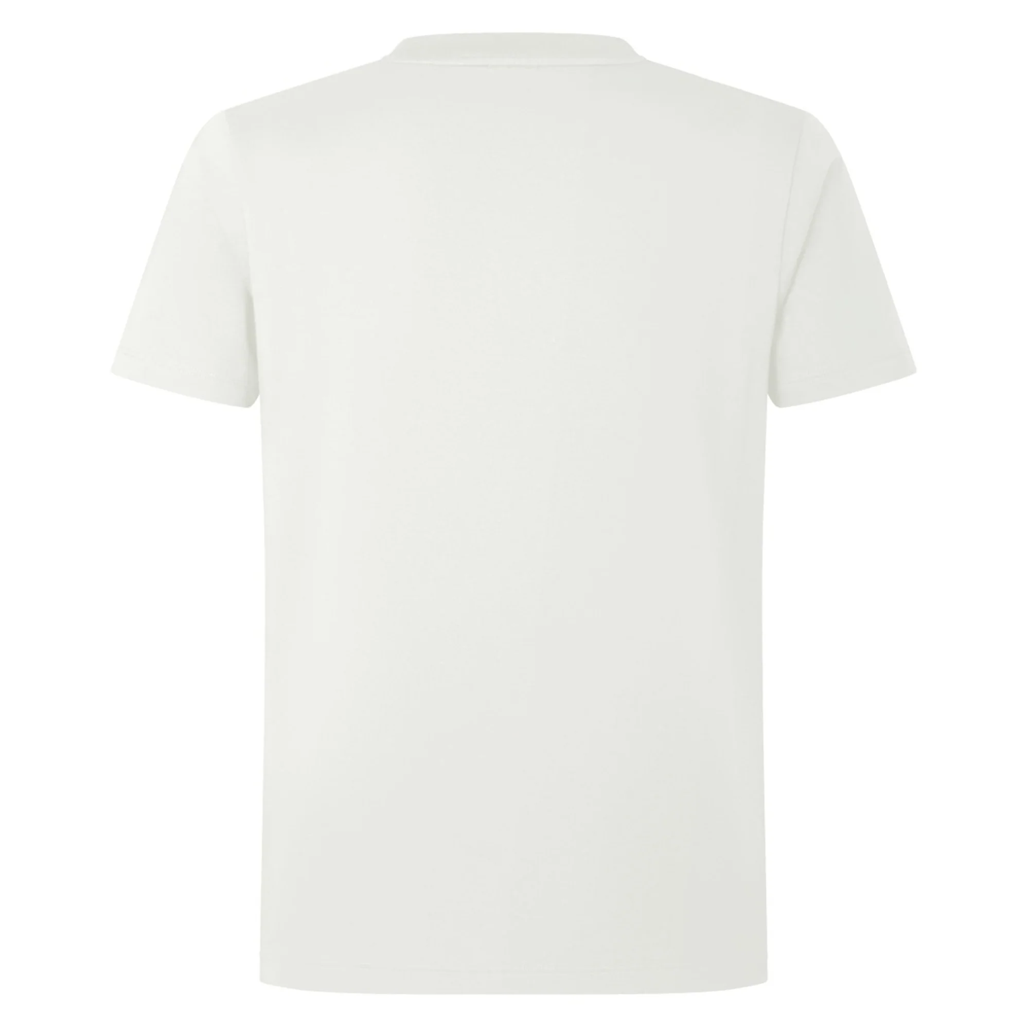 British & Irish Lions 2025 Cotton Jersey Tee by Canterbury - Image 2