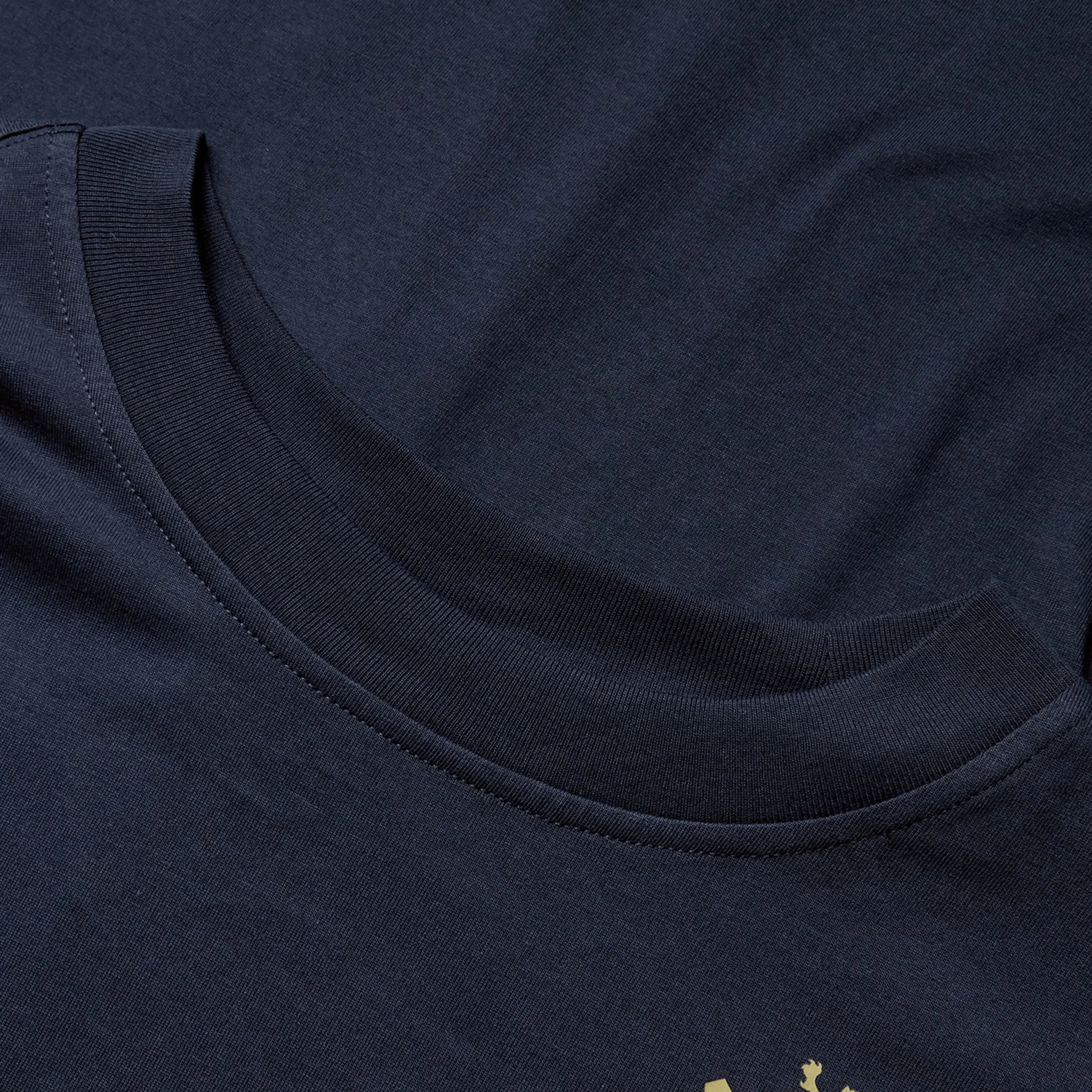 British & Irish Lions 2025 Cotton Jersey Tee by Canterbury - Image 25