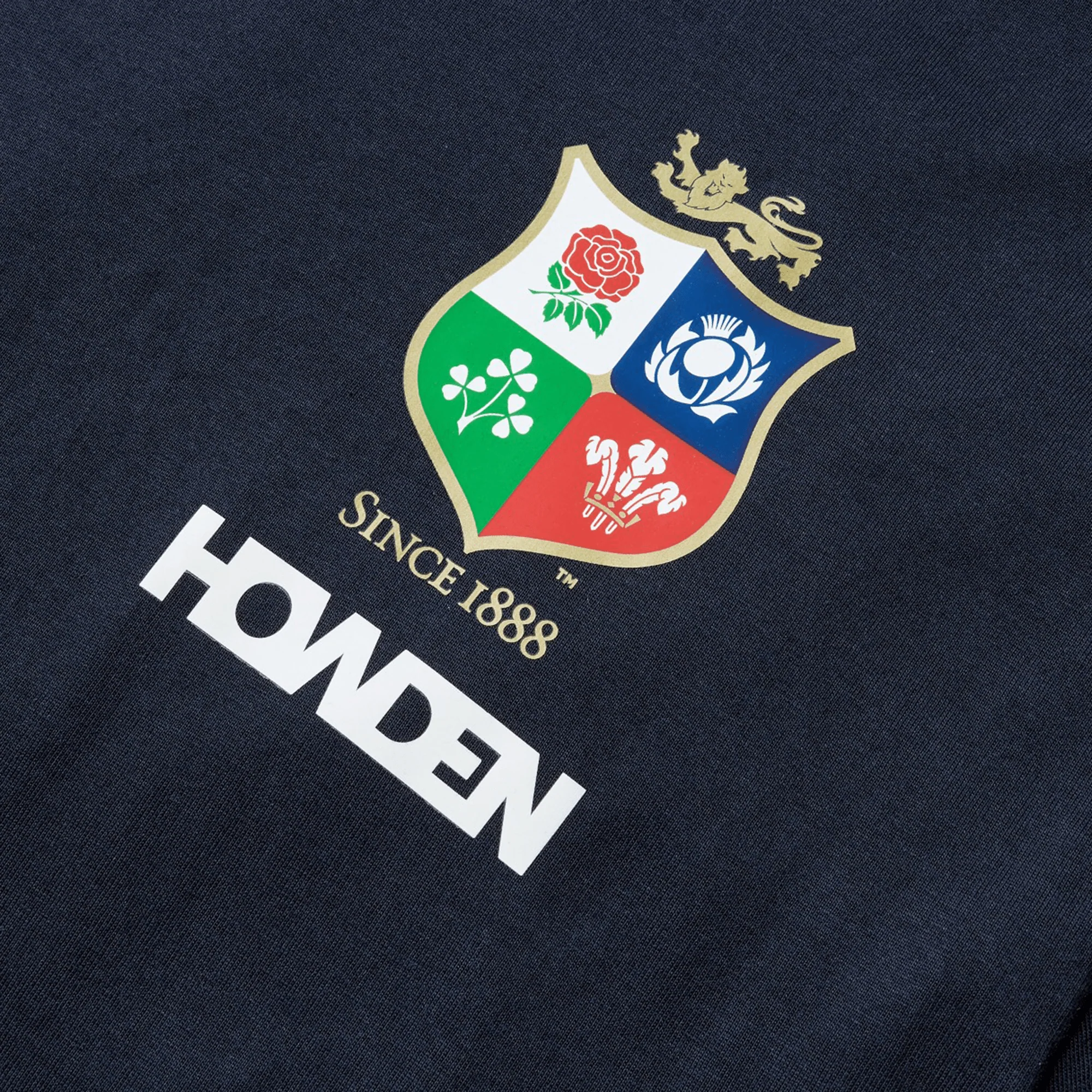 British & Irish Lions 2025 Cotton Jersey Tee by Canterbury - Image 26