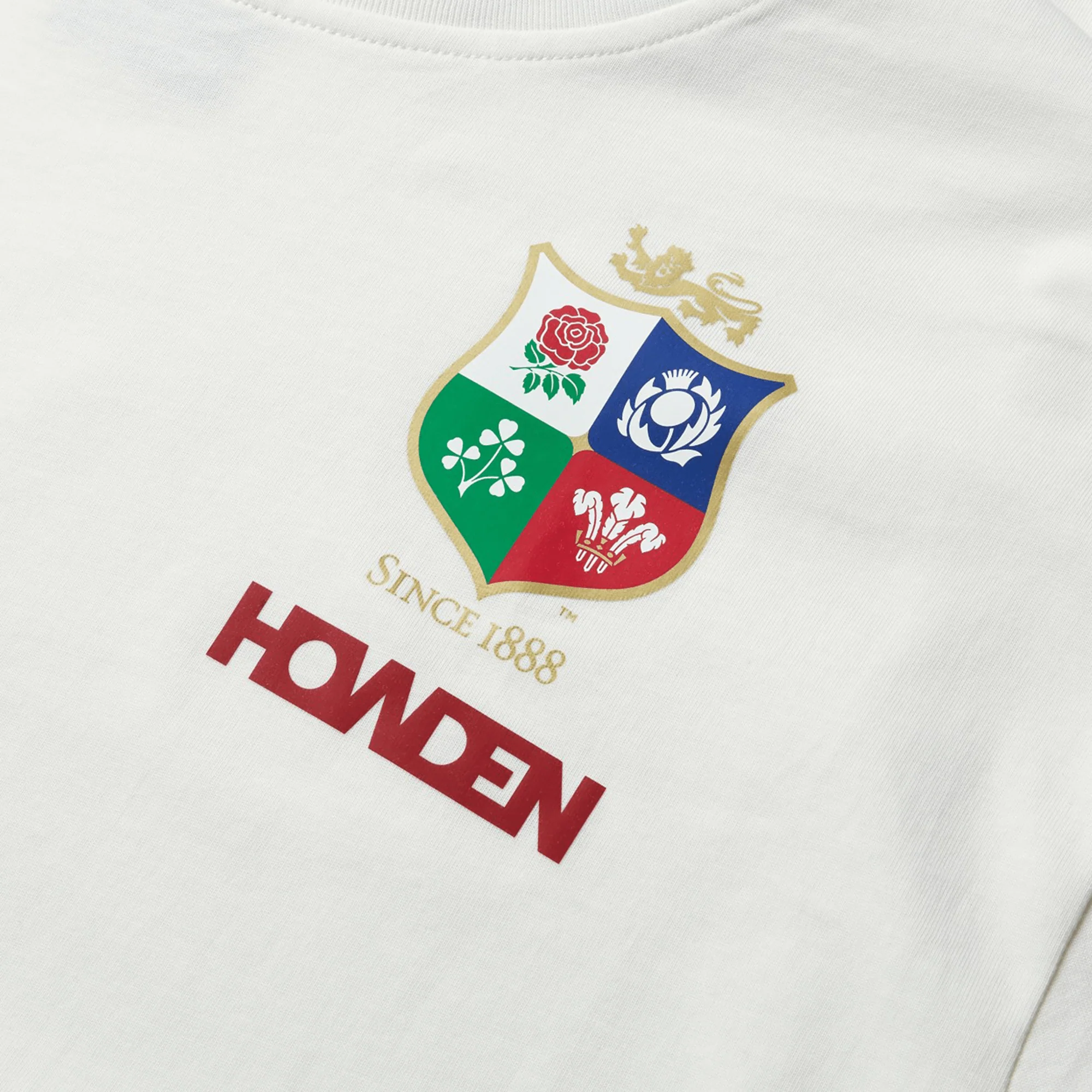 British & Irish Lions 2025 Cotton Jersey Tee by Canterbury - Image 3