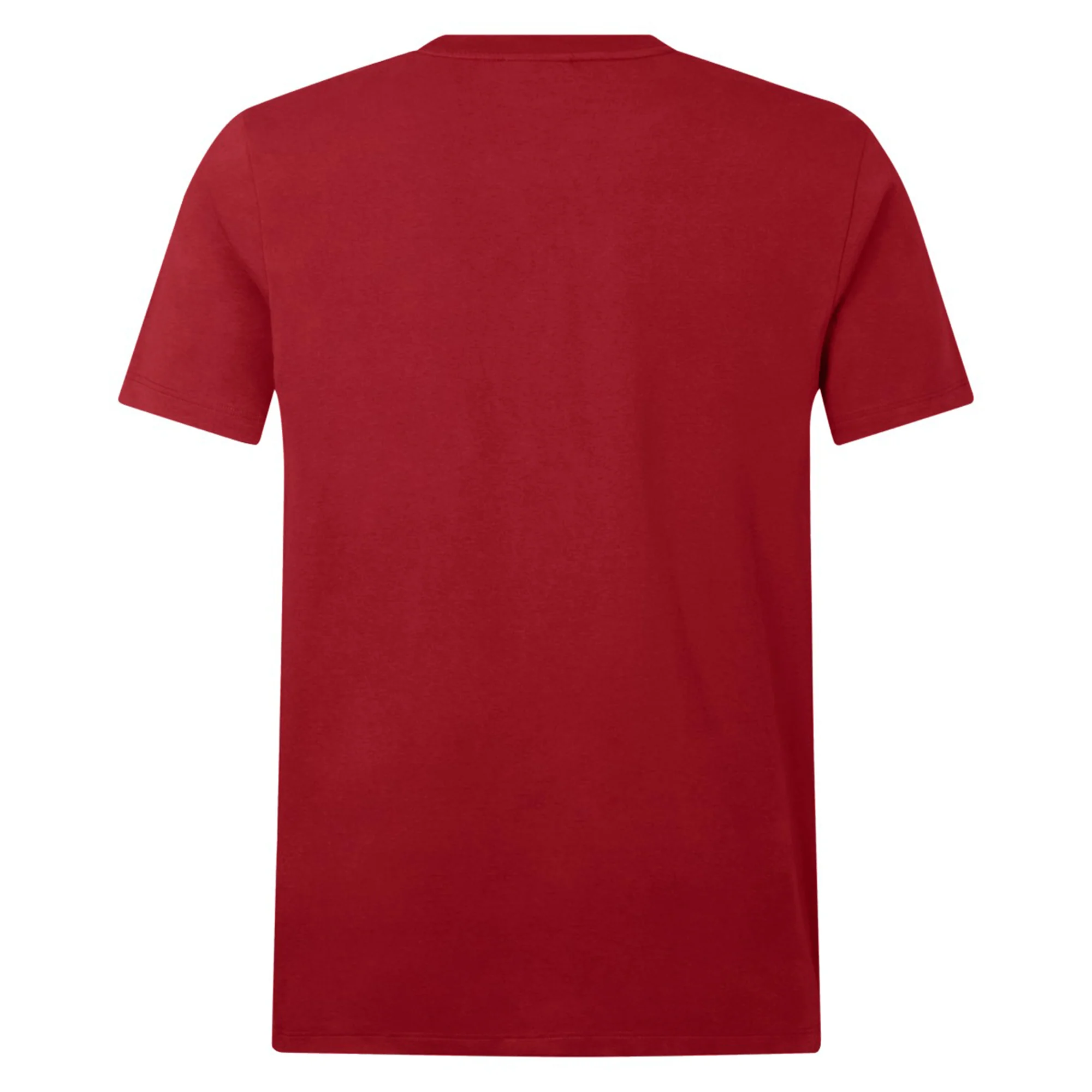 British & Irish Lions 2025 Cotton Jersey Tee by Canterbury - Image 35