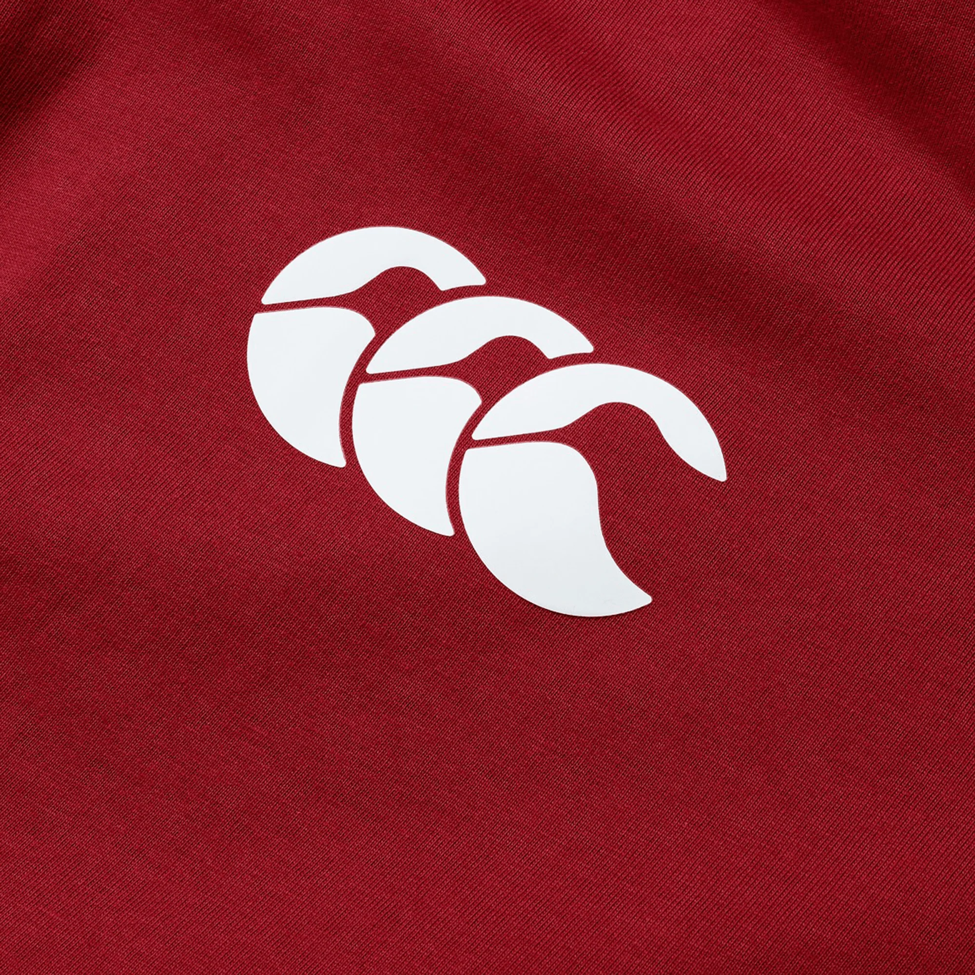 British & Irish Lions 2025 Cotton Jersey Tee by Canterbury - Image 37