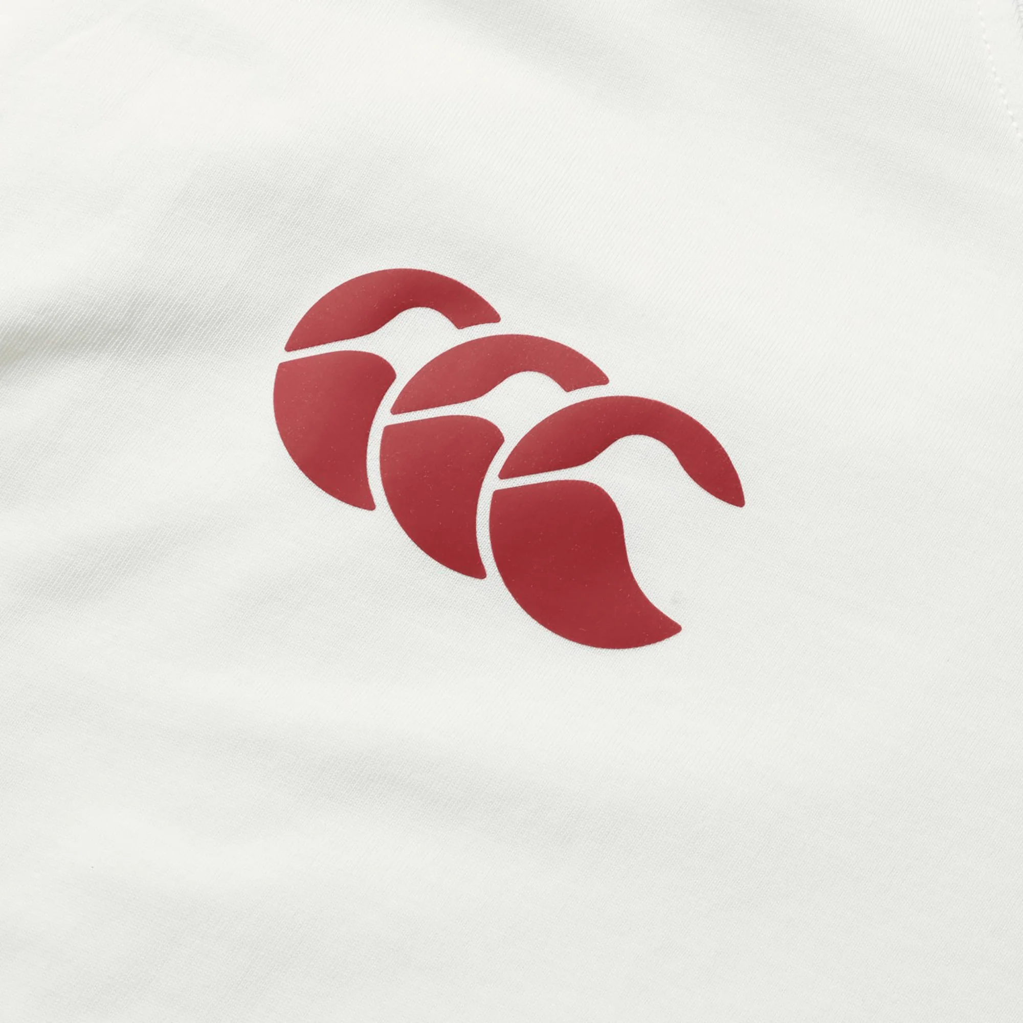 British & Irish Lions 2025 Cotton Jersey Tee by Canterbury - Image 4
