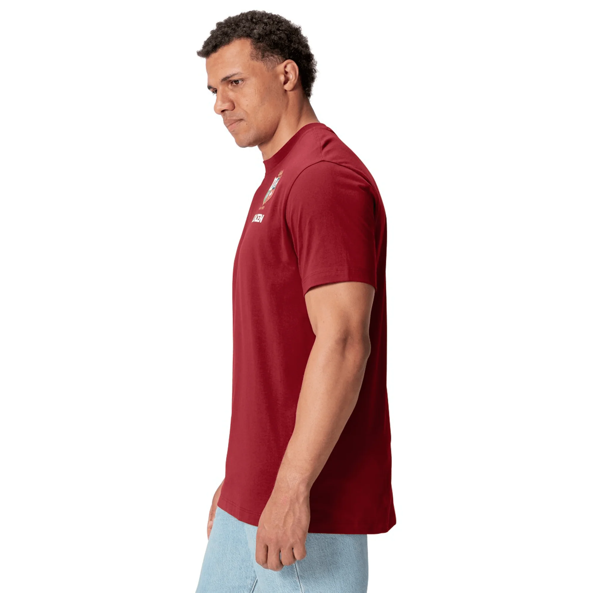 British & Irish Lions 2025 Cotton Jersey Tee by Canterbury - Image 41