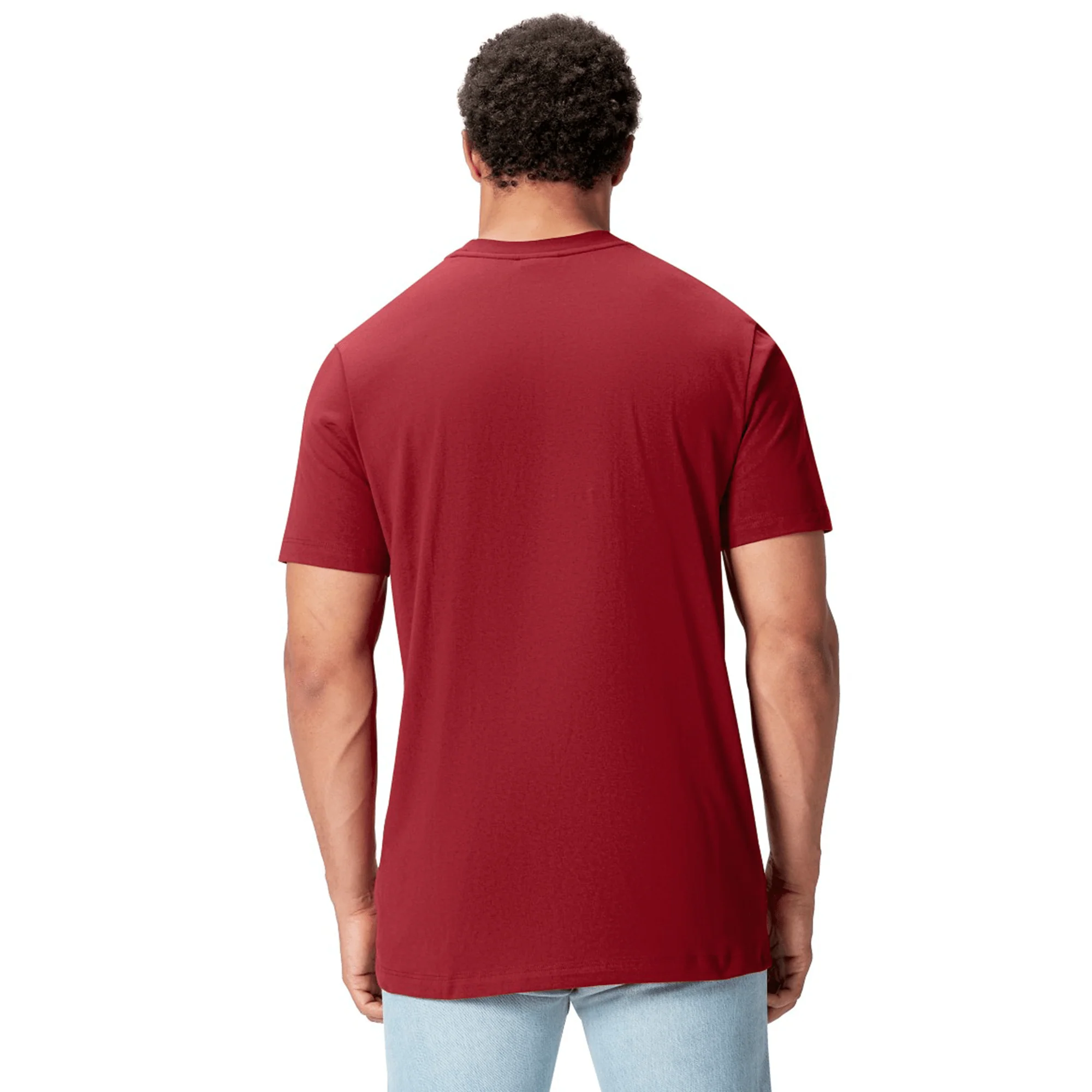 British & Irish Lions 2025 Cotton Jersey Tee by Canterbury - Image 43