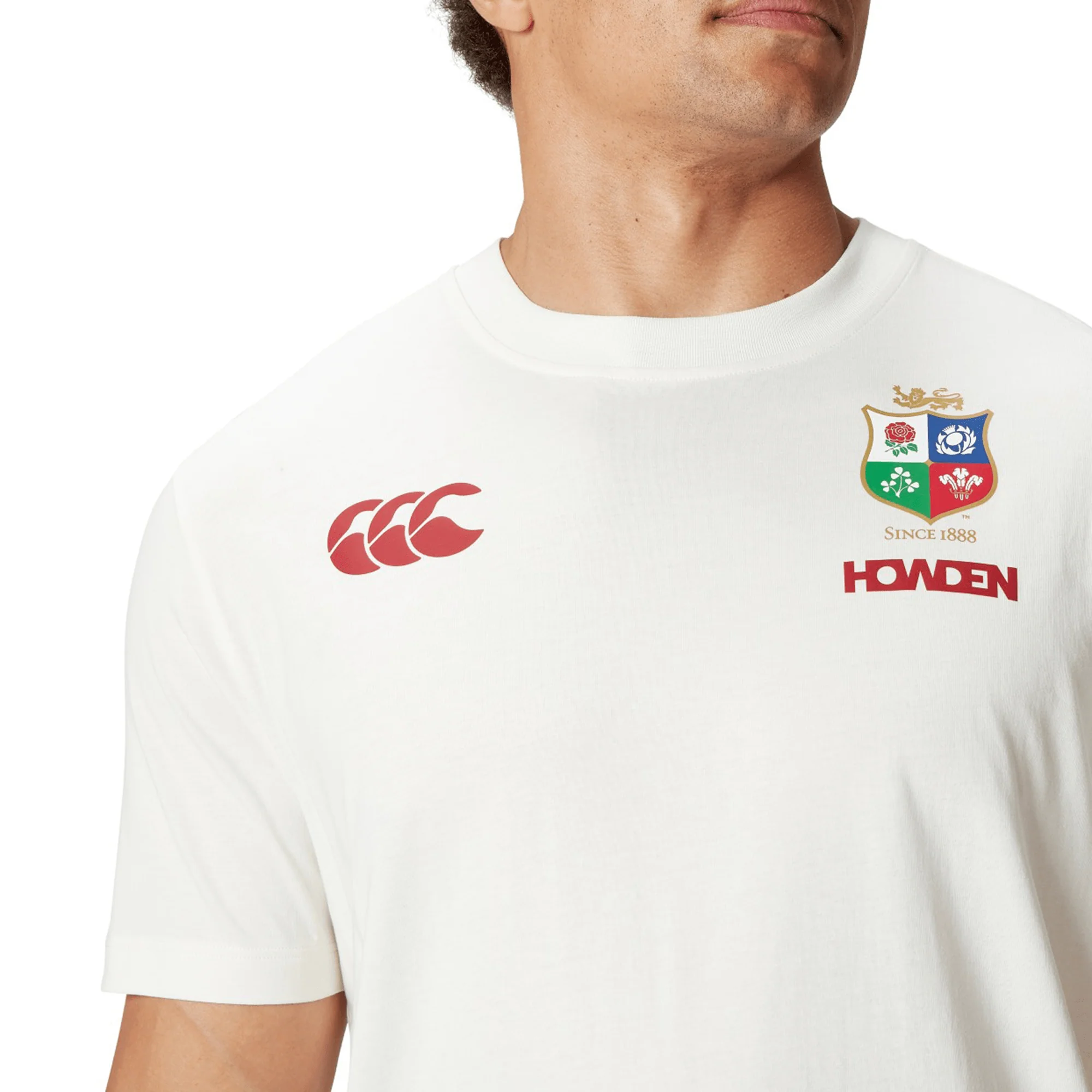 British & Irish Lions 2025 Cotton Jersey Tee by Canterbury - Image 5