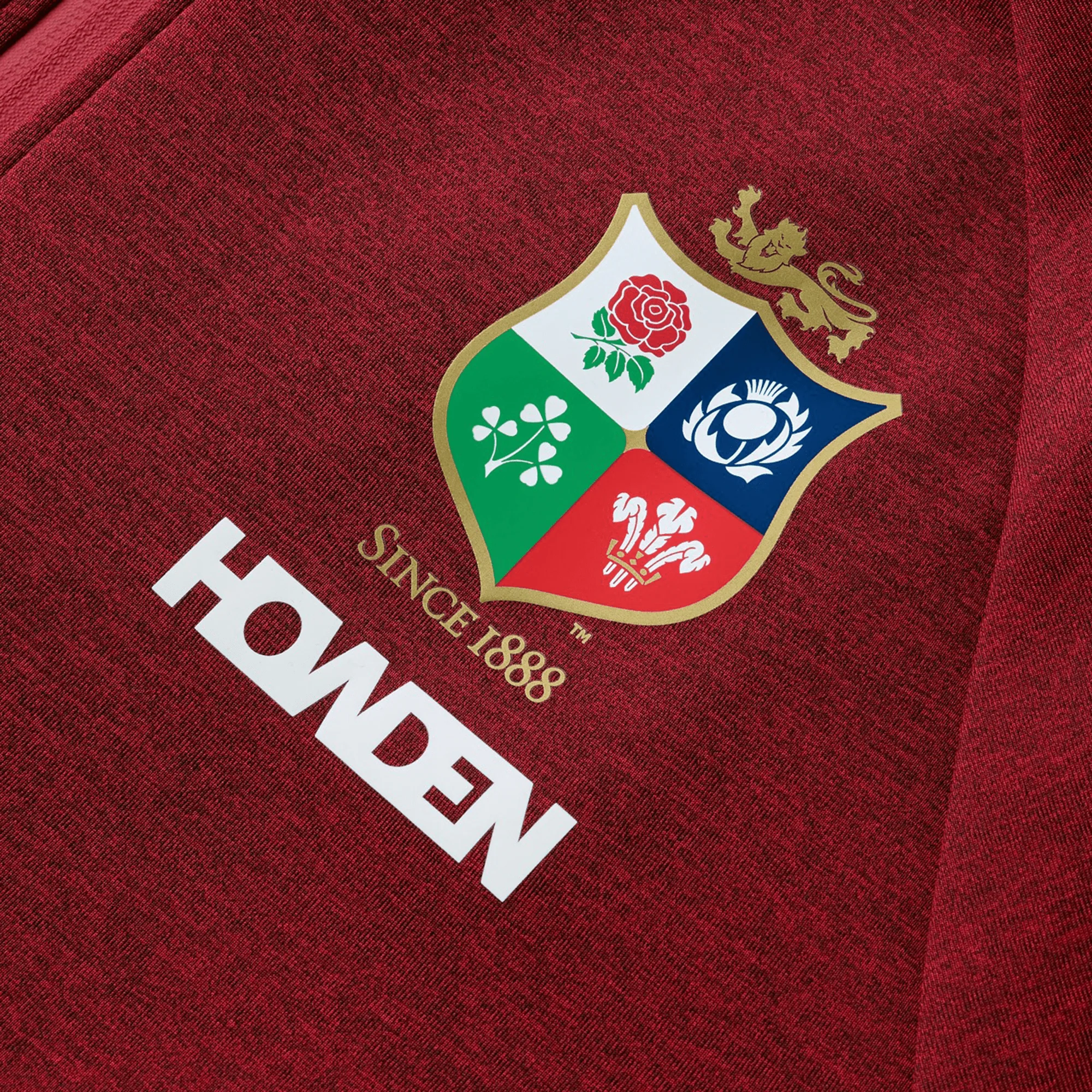 British & Irish Lions 2025 Everest Hoodie by Canterbury - Image 15