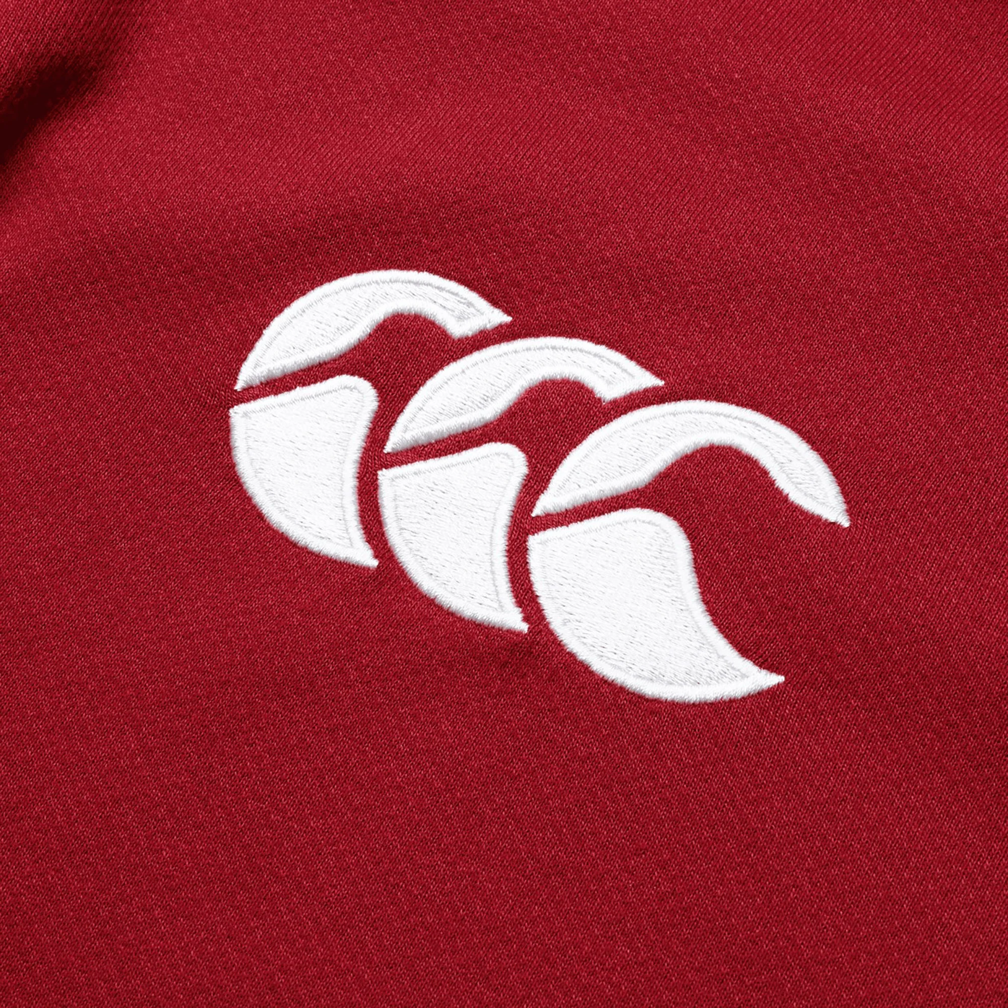 British & Irish Lions 2025 Long Sleeve Classic Jersey by Canterbury - Image 4