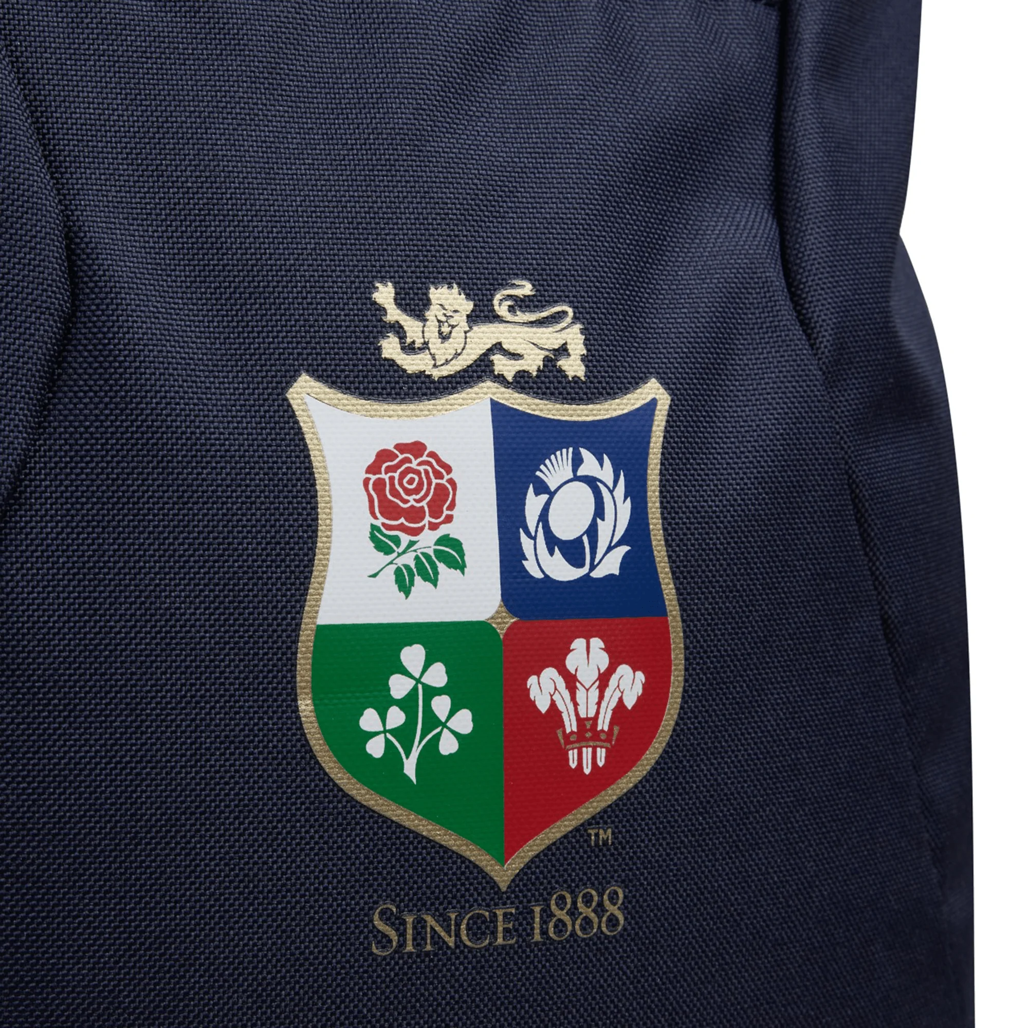 British & Irish Lions 2025  Medium Backpack by Canterbury - Image 3