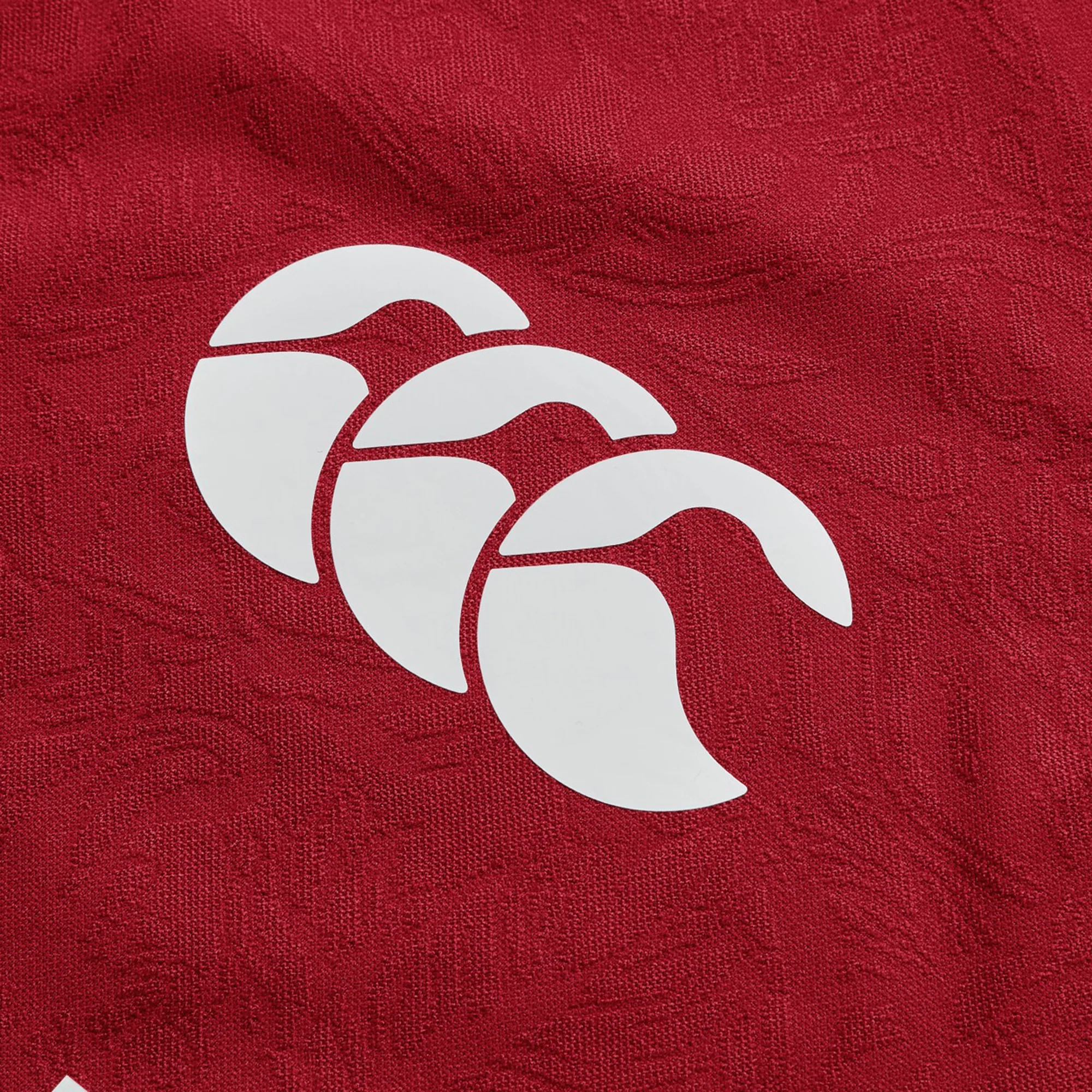 British & Irish Lions 2025 Players Jersey by Canterbury - Image 4