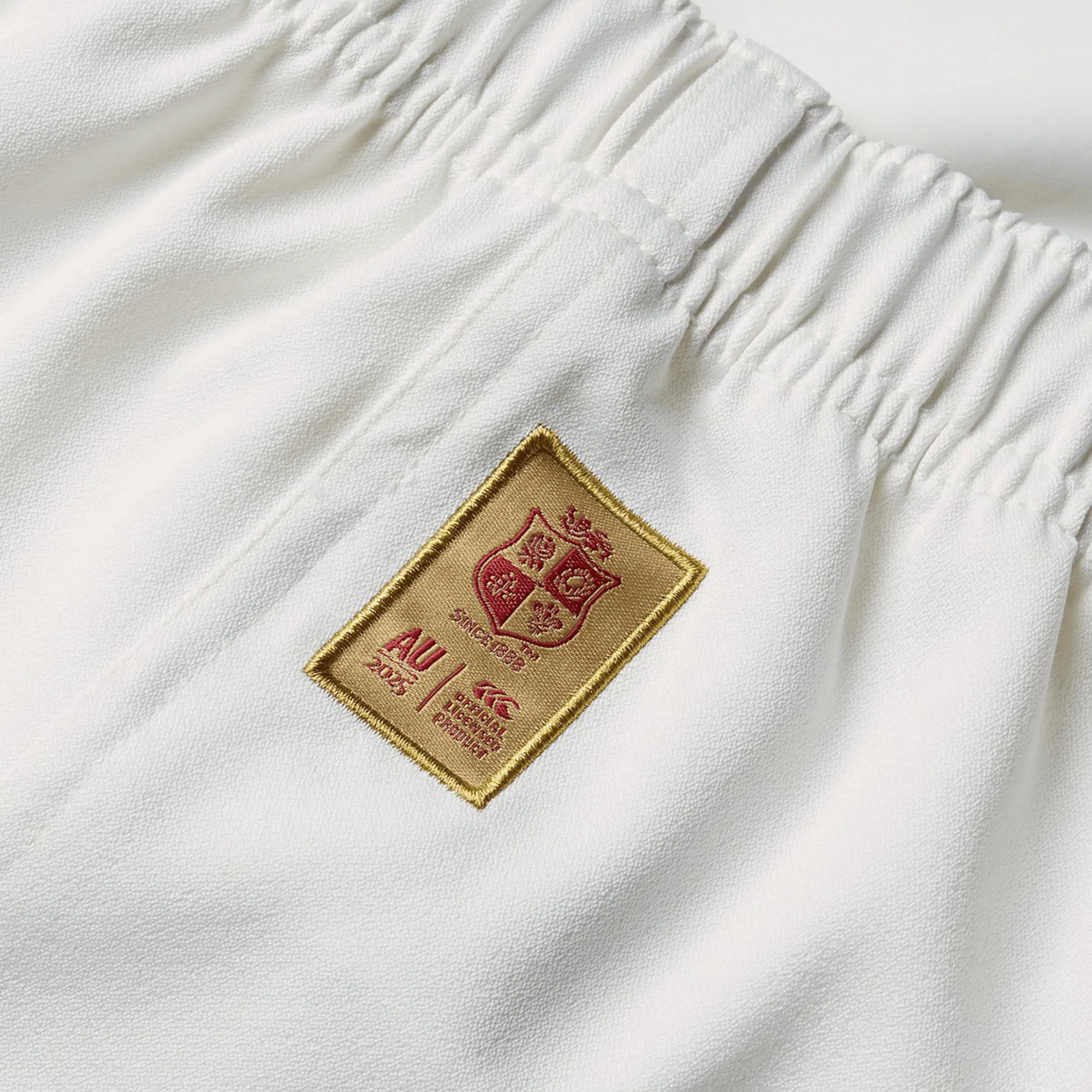 British & Irish Lions 2025 Replica Match Short by Canterbury - Image 4