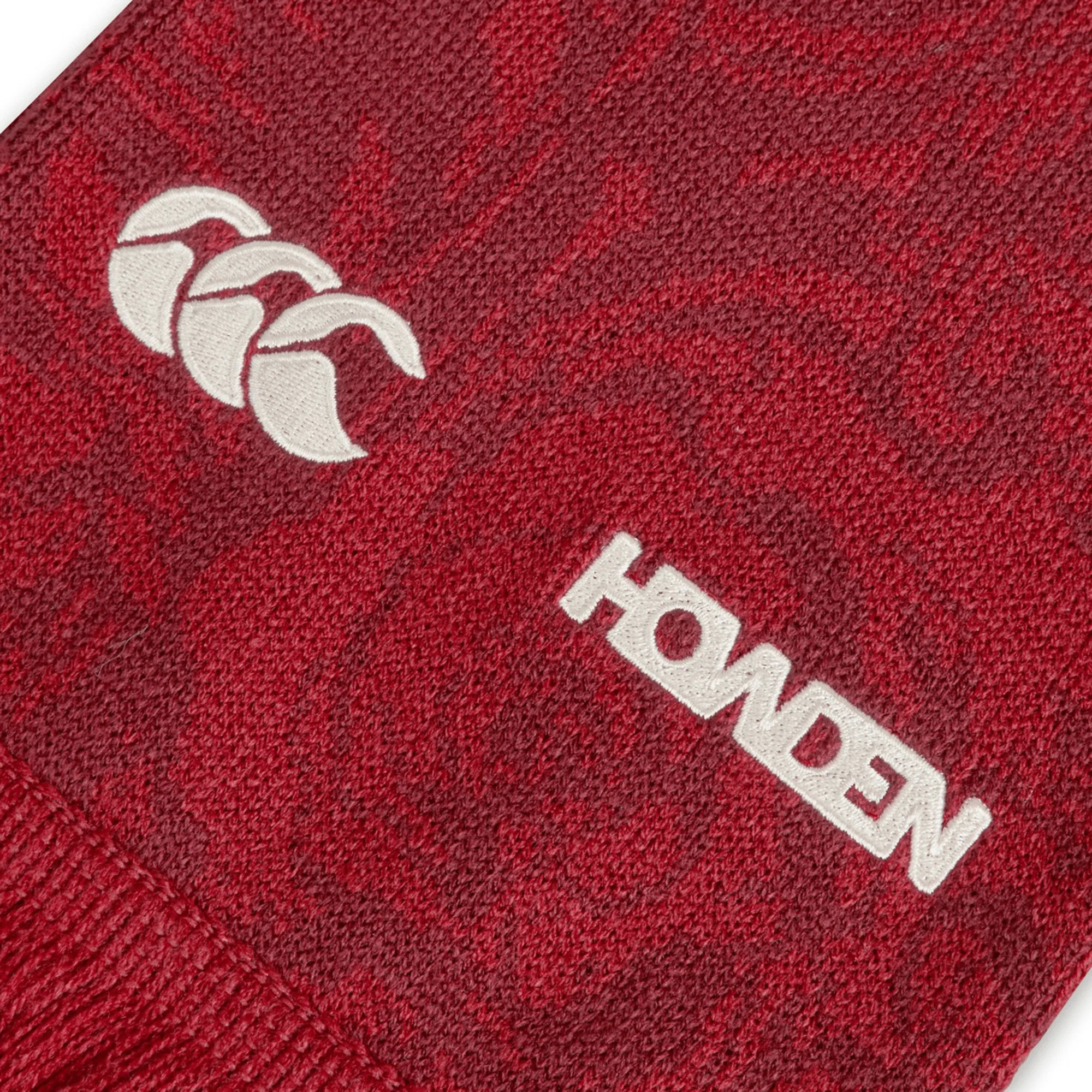 British & Irish Lions 2025 Supporters Scarf by Canterbury - Image 4