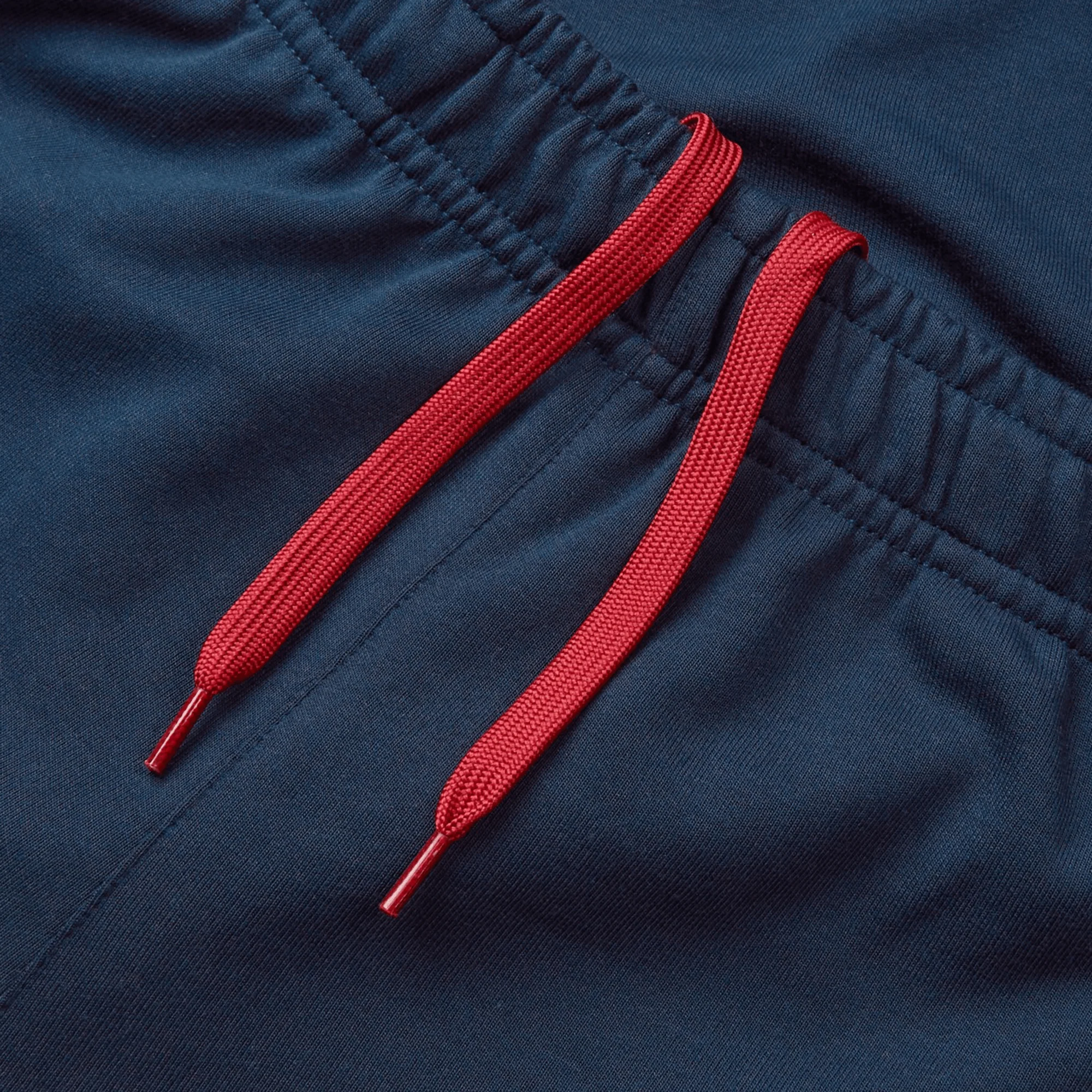 British & Irish Lions 25 Training Pants by Canterbury - Image 3