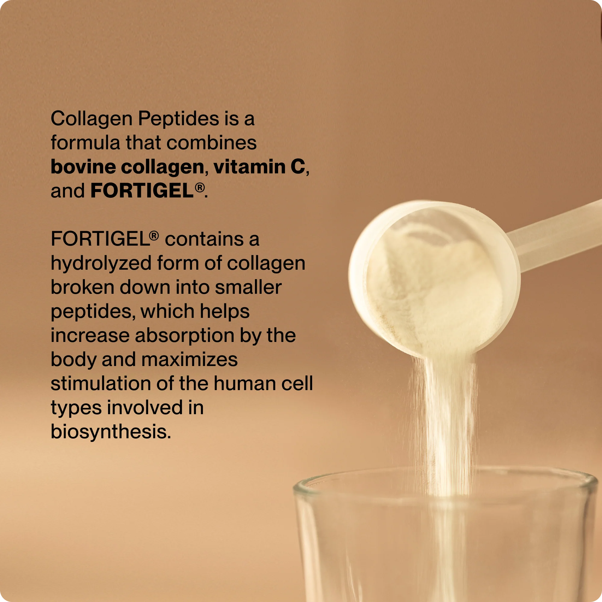 Momentous Collagen Peptides 10-Travel Packs - Image 4