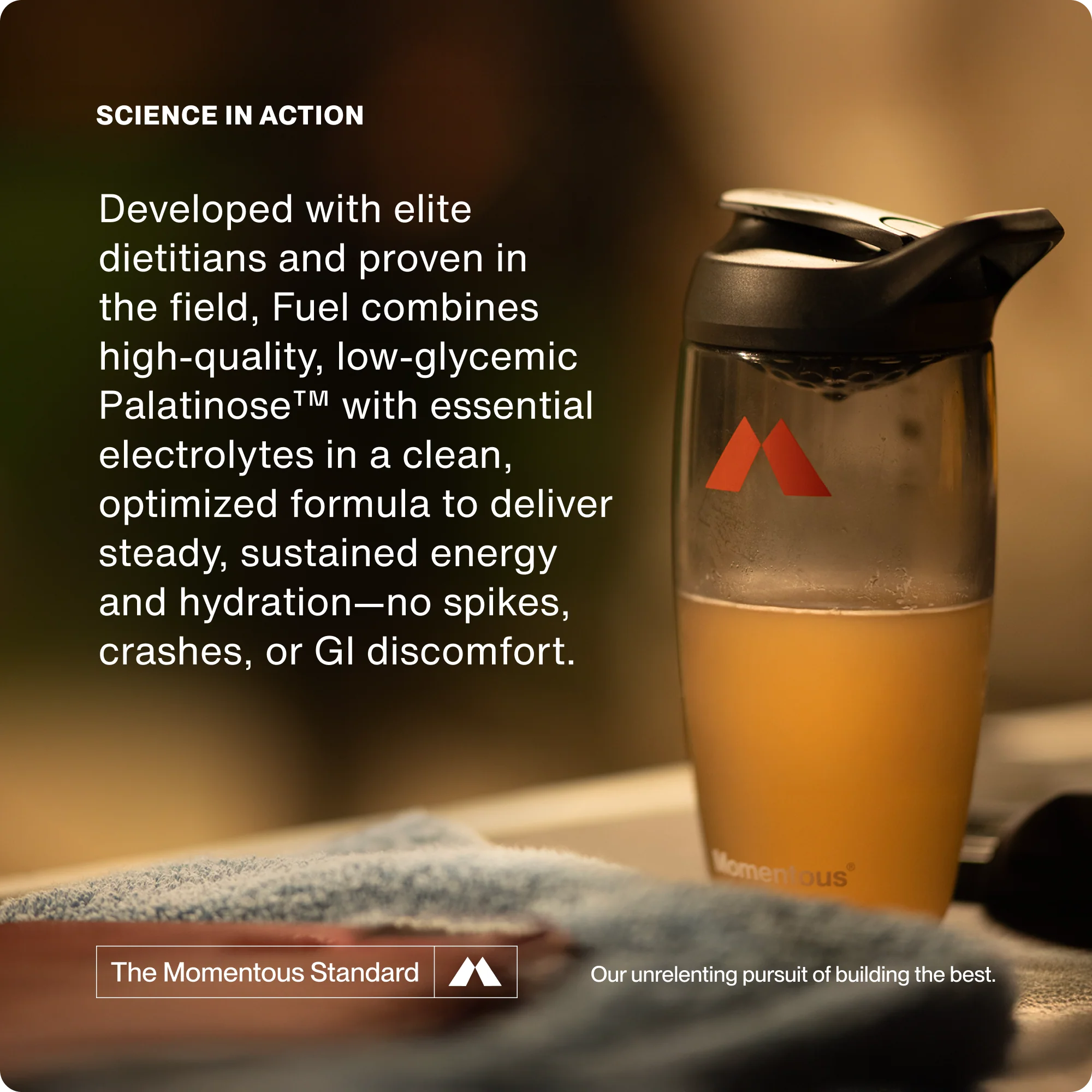 Momentous Fuel 10-Travel Packs - Image 5