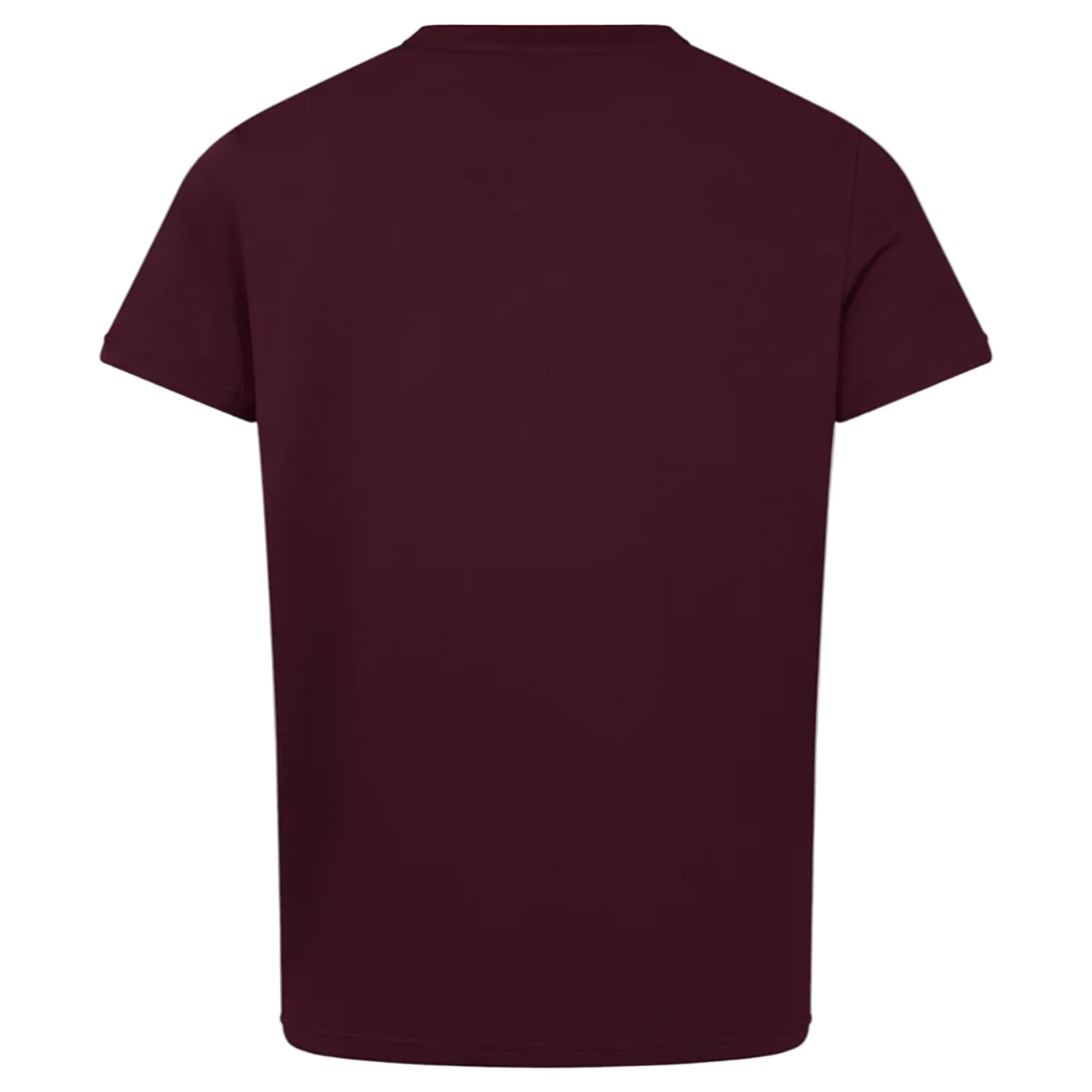 Ireland 25/26 Team Cotton Tee by Canterbury - Image 4