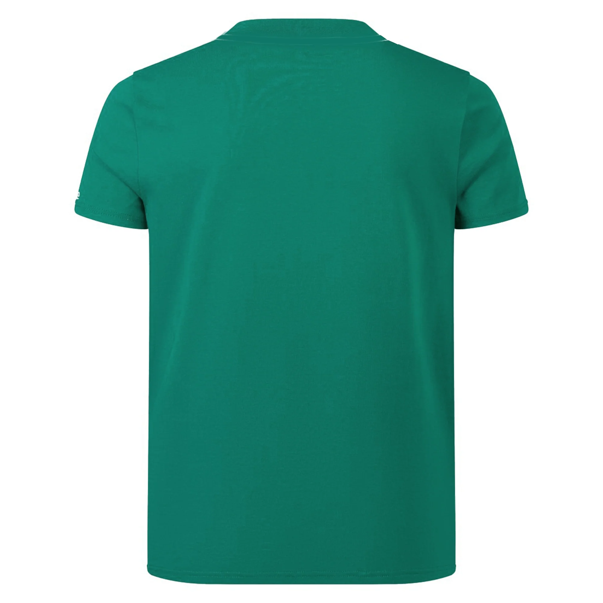 Youth Ireland 24 Team Cotton T-Shirt by Canterbury - Image 2