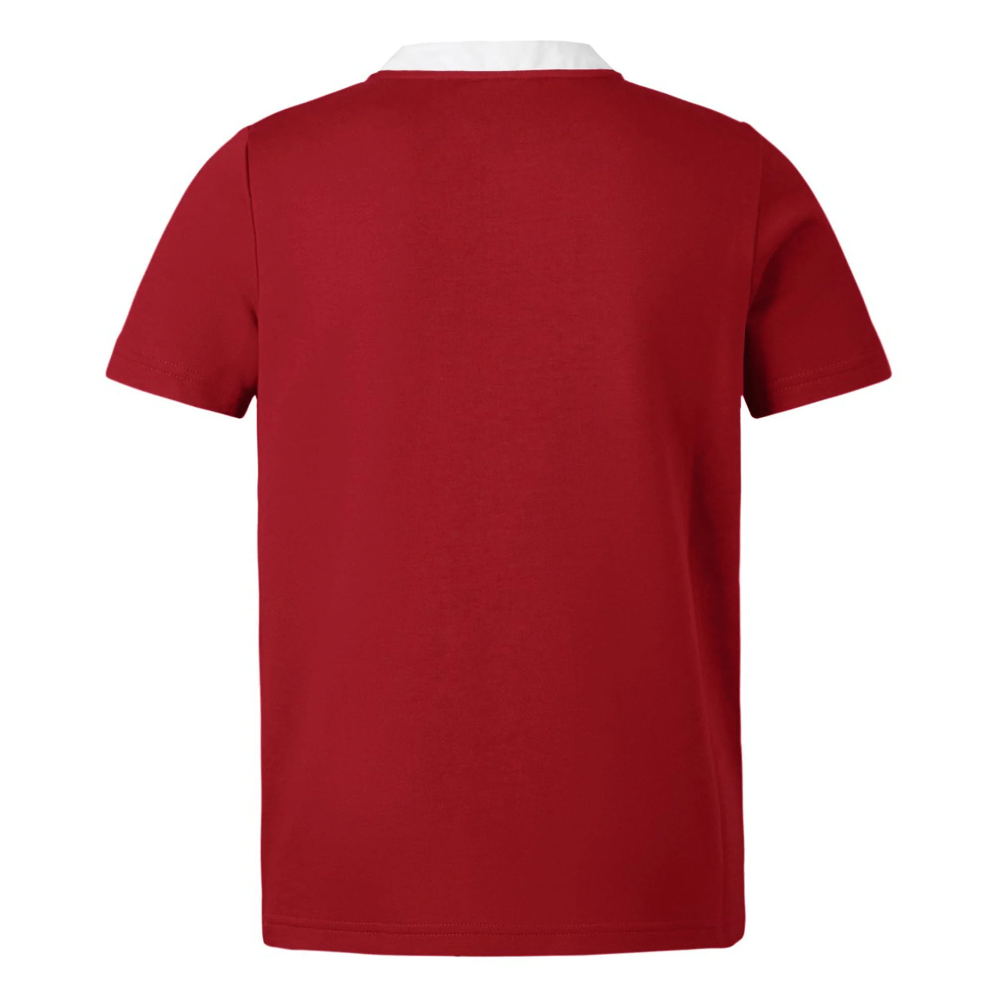 Youth British & Irish Lions 2025 Classic Jersey by Canterbury - Image 2