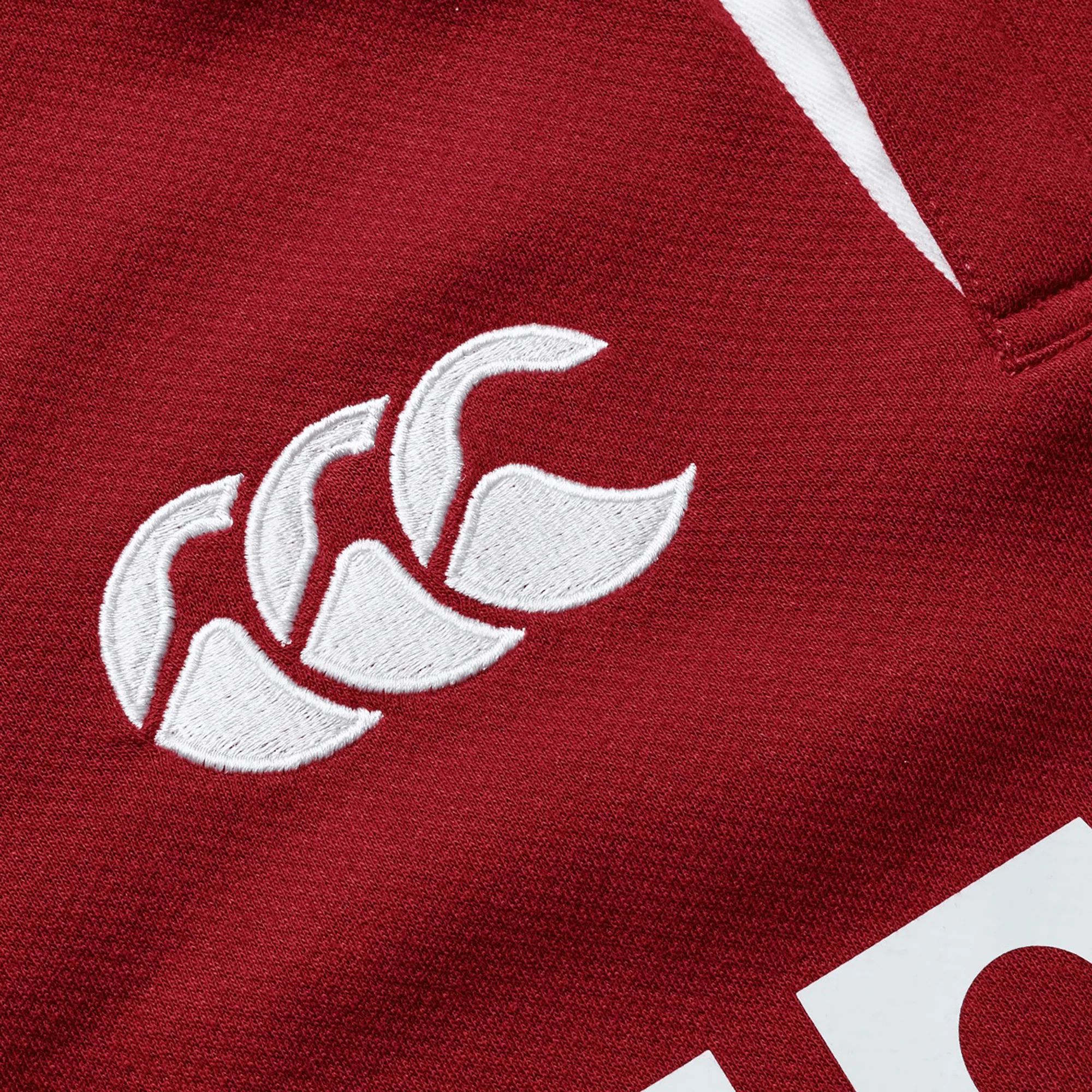 Youth British & Irish Lions 2025 Classic Jersey by Canterbury - Image 5
