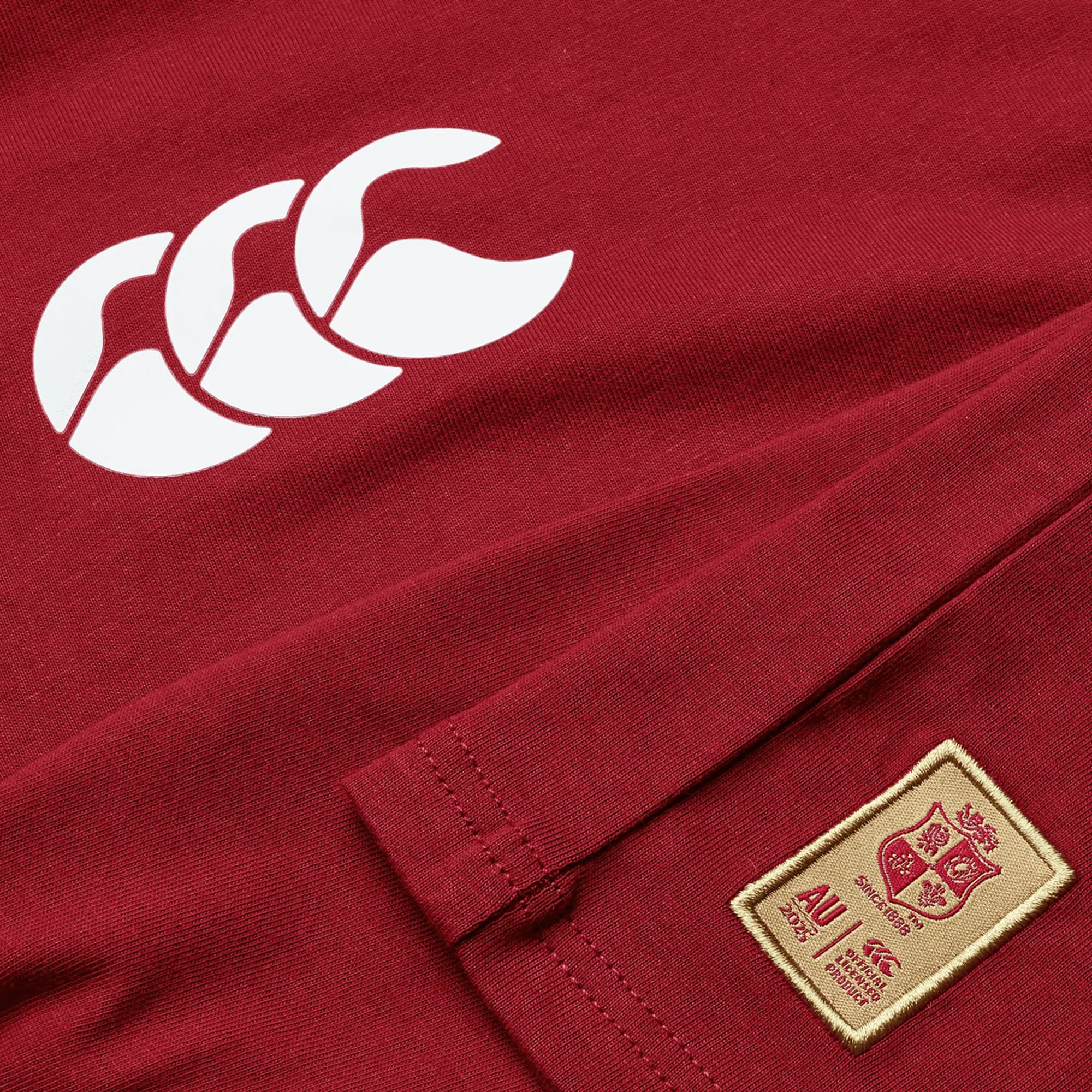 Youth British & Irish Lions 2025 Cotton Jersey Tee by Canterbury - Image 16