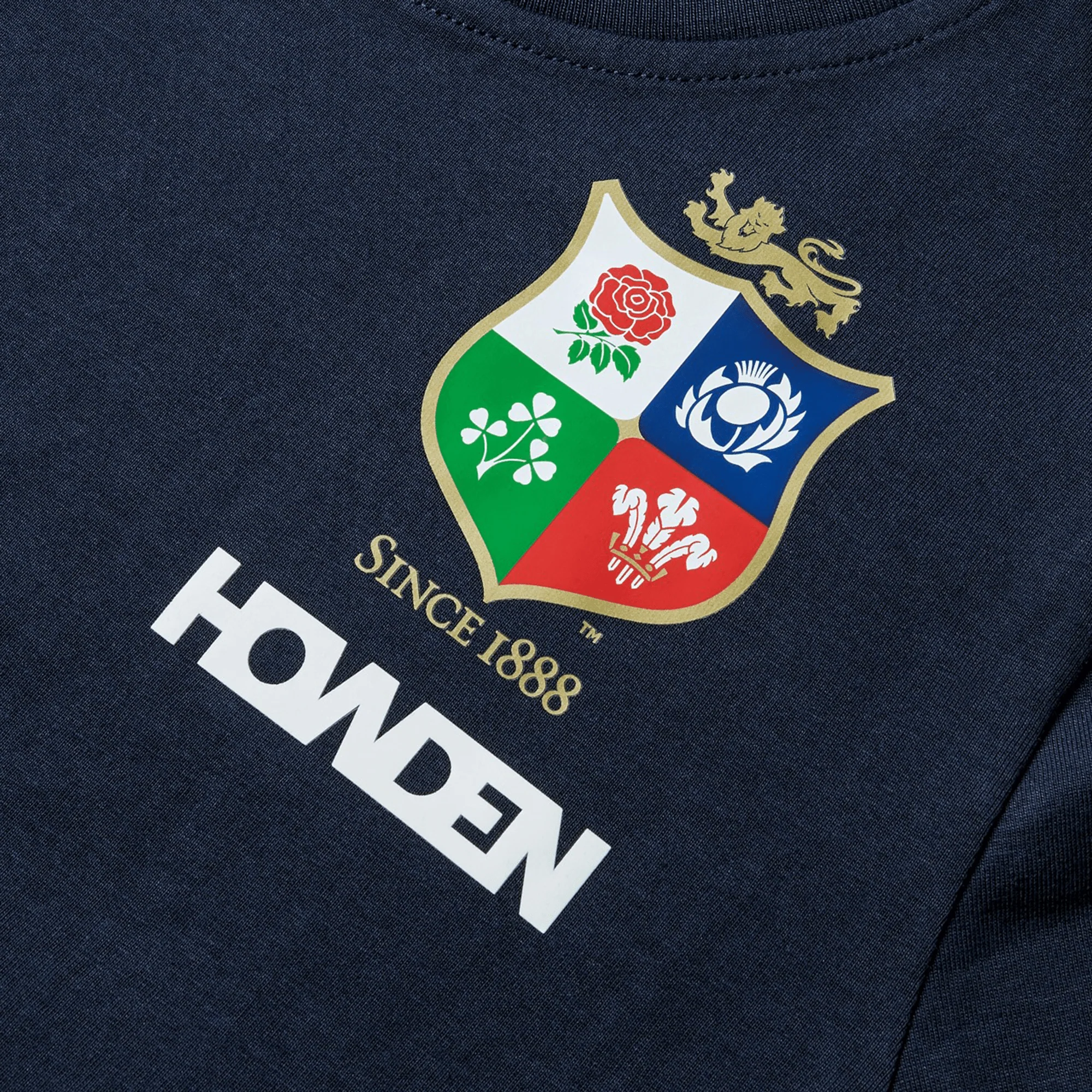 Youth British & Irish Lions 2025 Cotton Jersey Tee by Canterbury - Image 4
