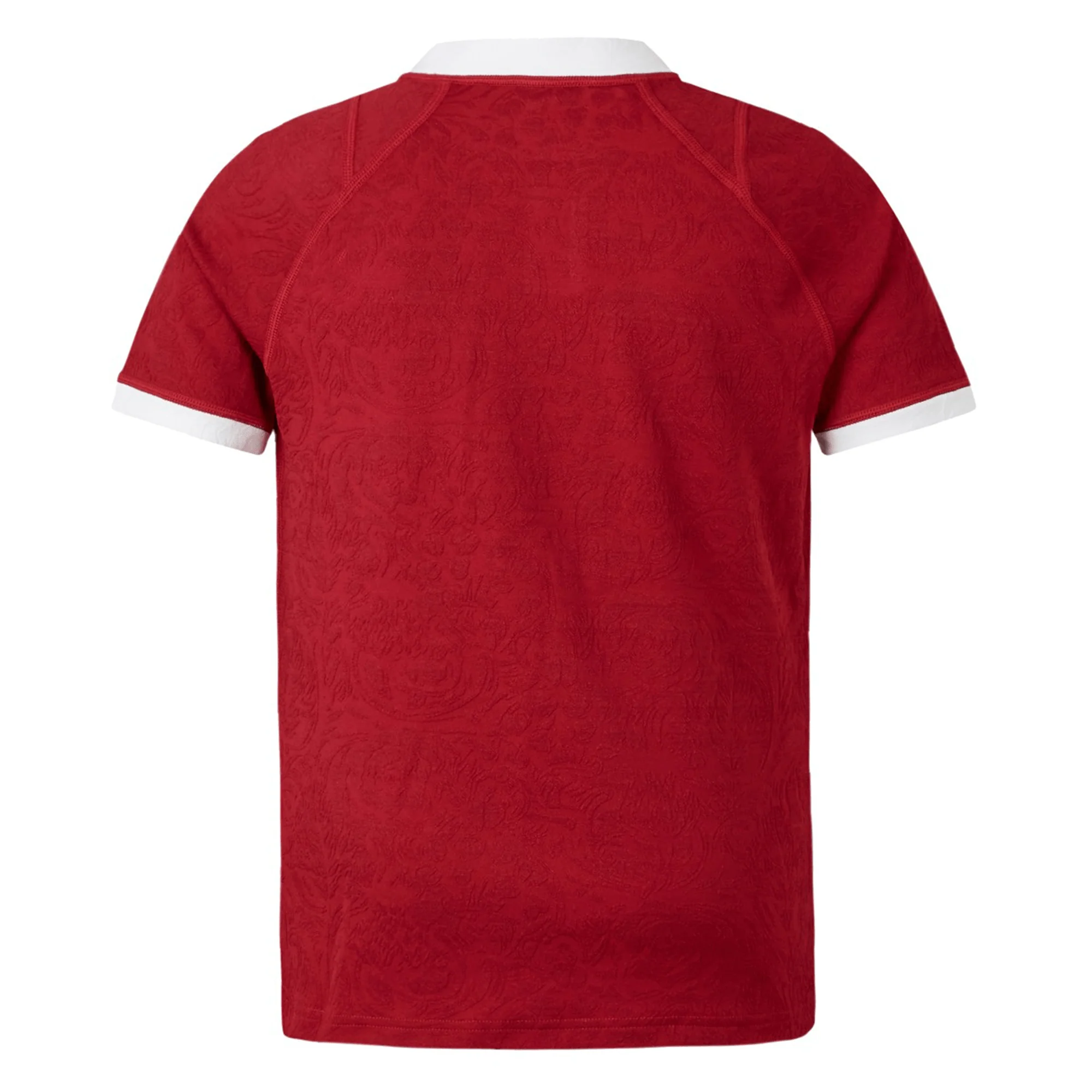 Youth British & Irish Lions 2025 Players Jersey by Canterbury - Image 2
