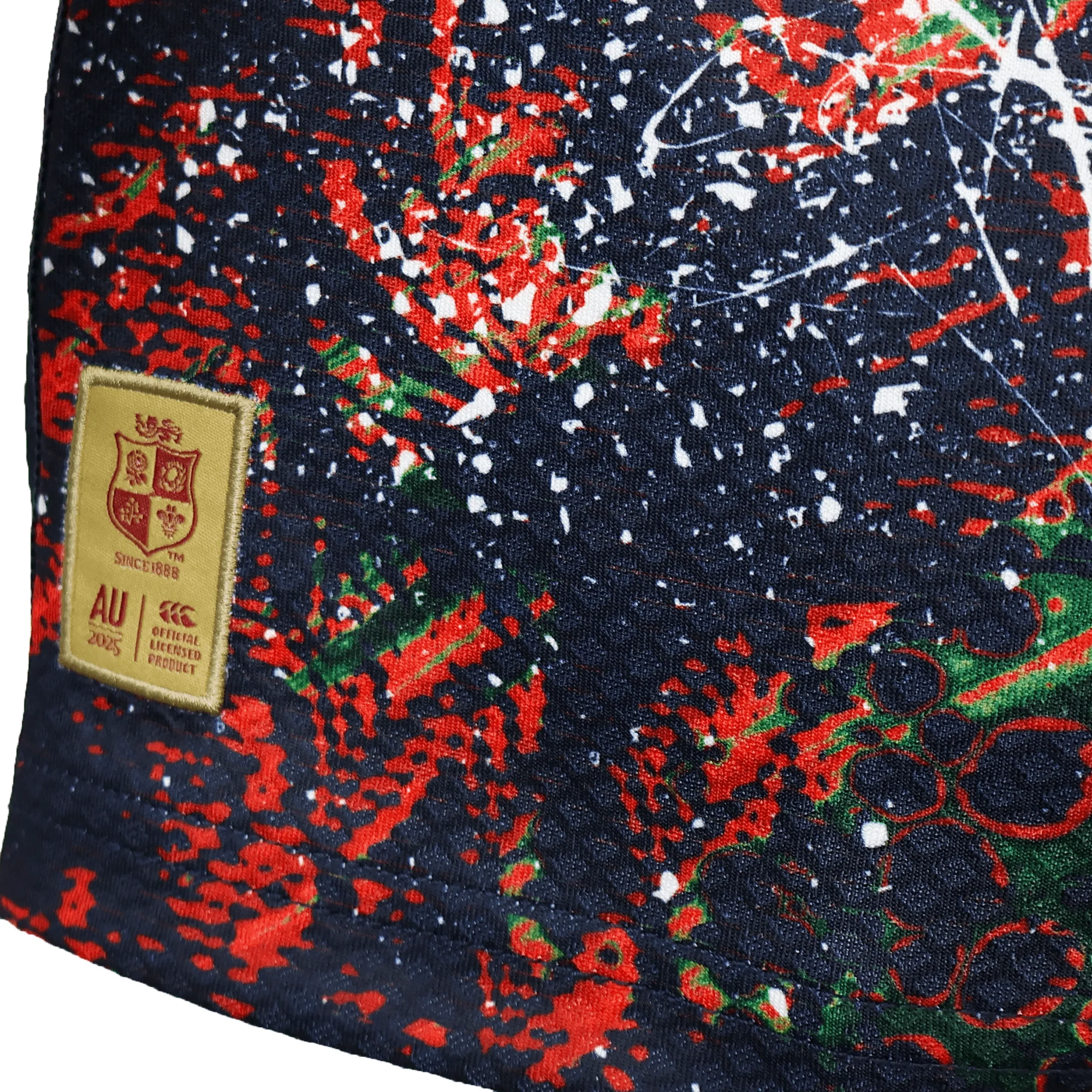 Youth British & Irish Lions 2025 Warm Up Jersey by Canterbury - Image 6