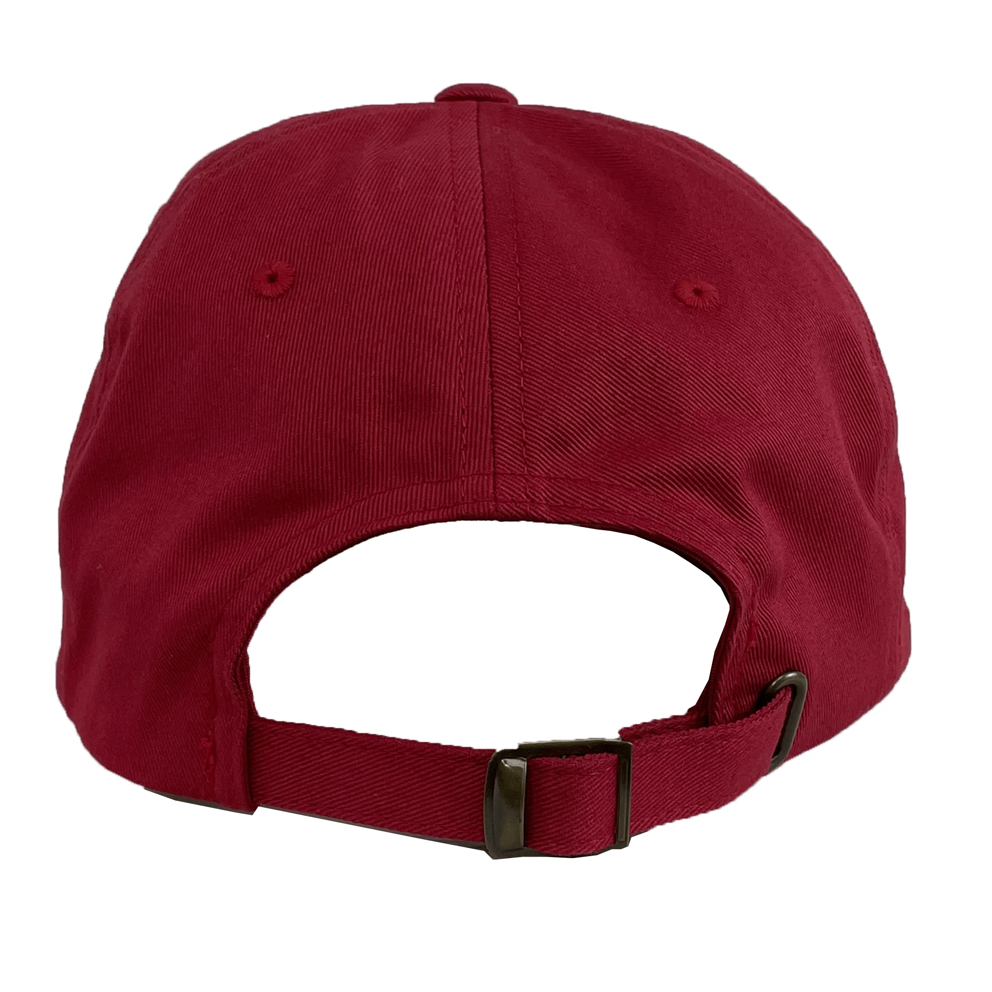 Nations of Rugby British & Irish Lions Vintage Dad Cap - Image 4
