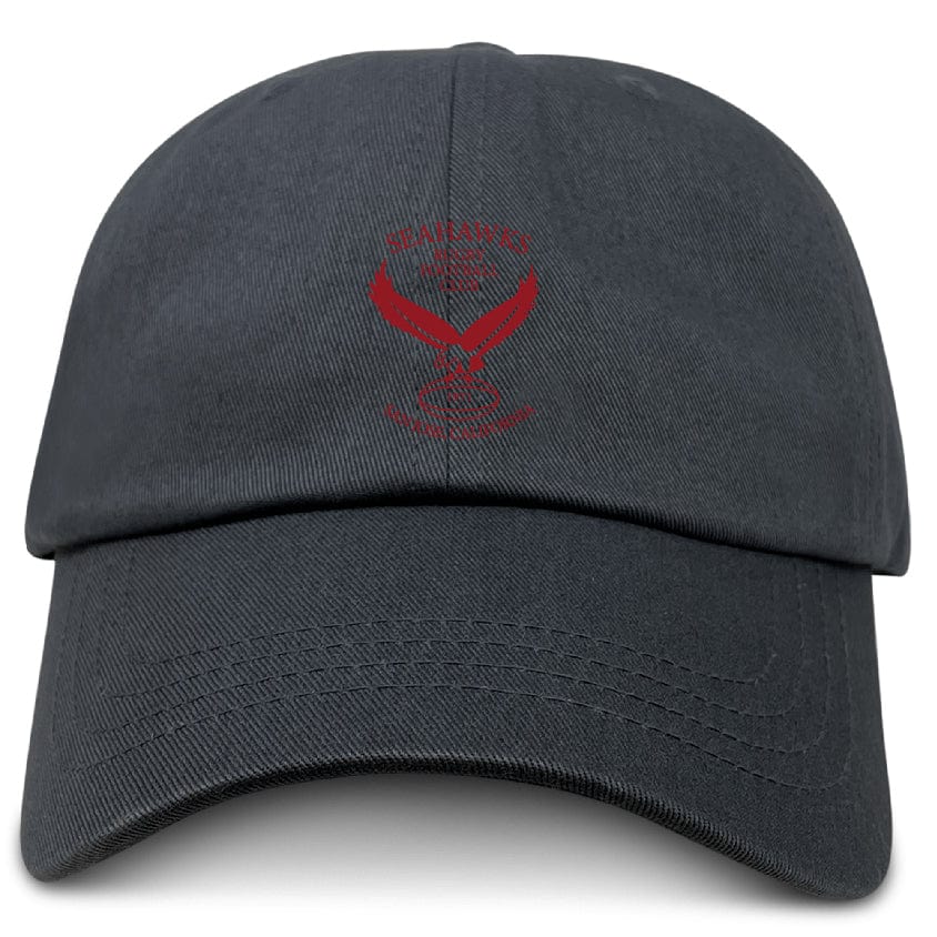 San Jose Seahawks Adult Low-Profile Cotton Twill Dad Cap - Image 2