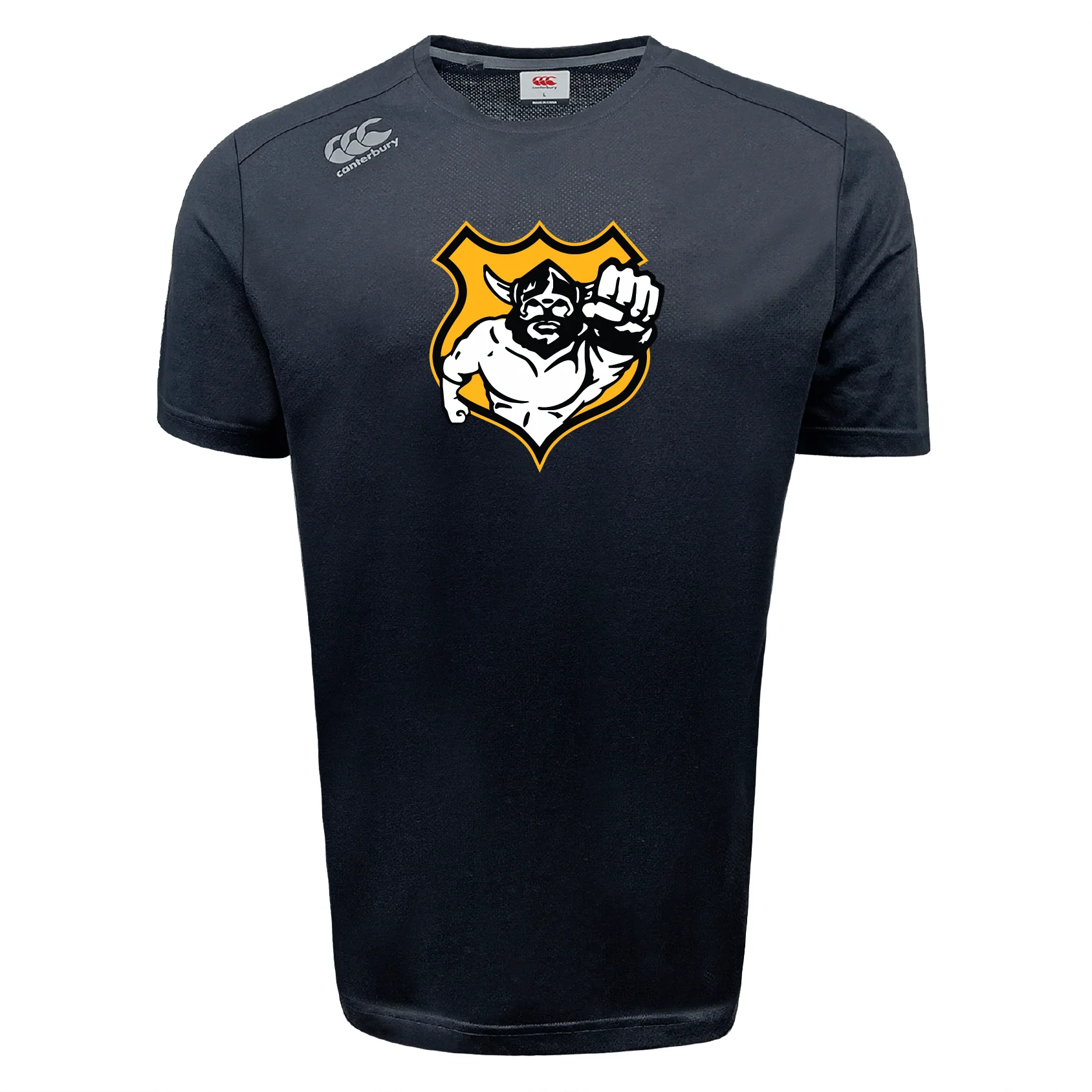 Seattle Vikings Rugby Tempo Vapodri T-Shirt by Canterbury - Image 2
