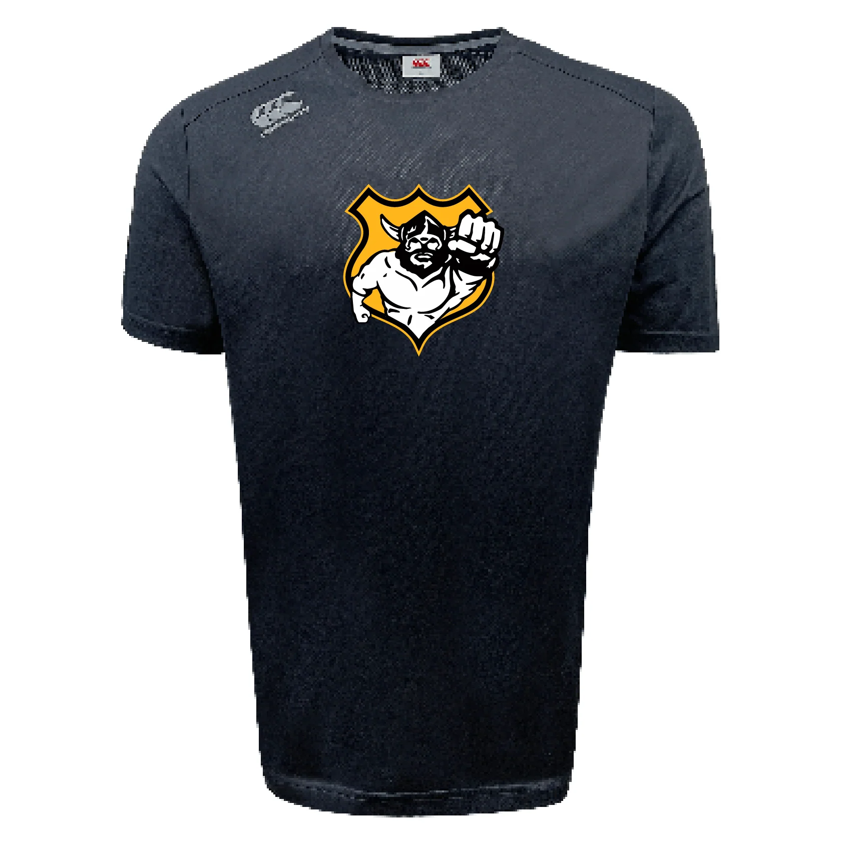 Seattle Vikings Rugby Tempo Vapodri T-Shirt by Canterbury - Image 3