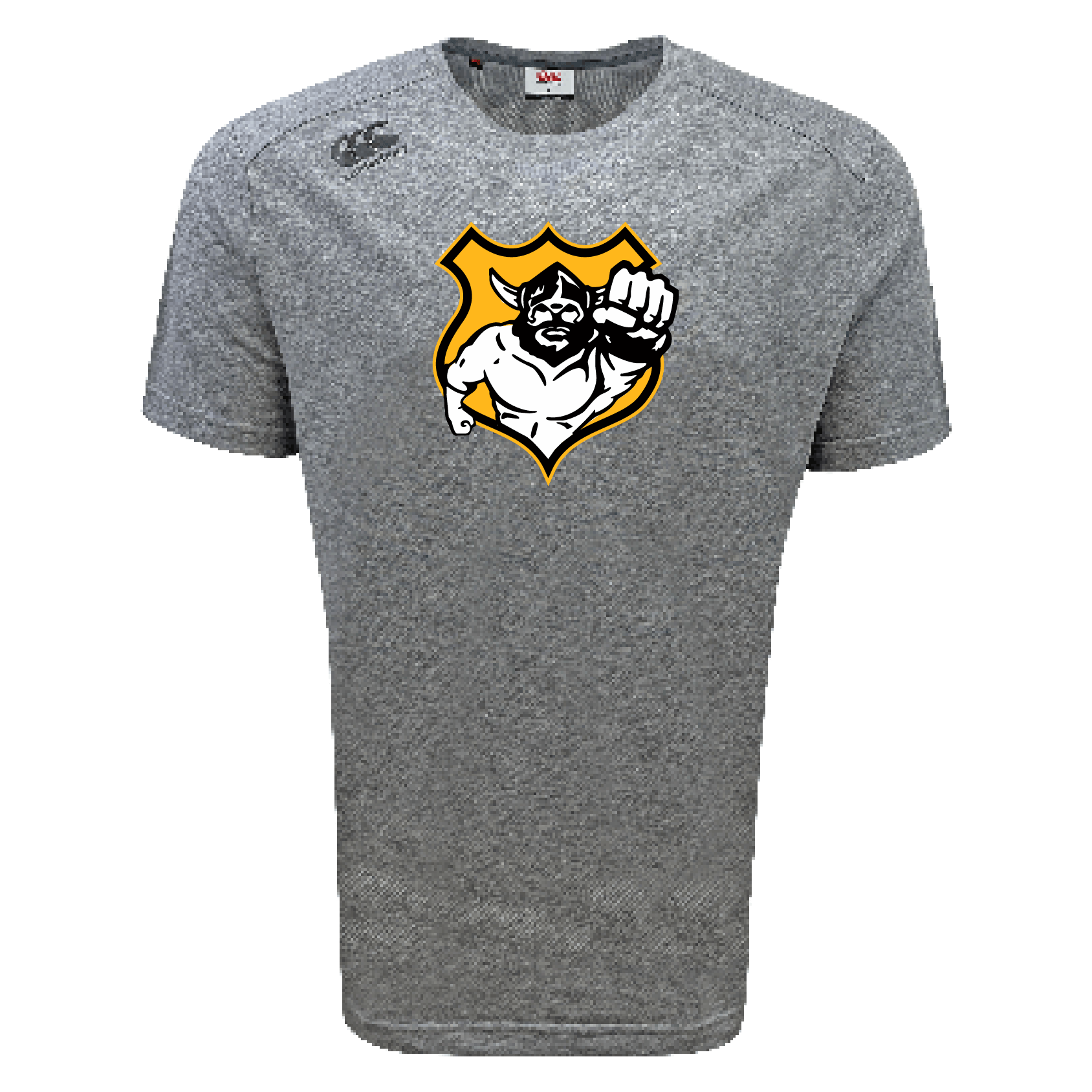 Seattle Vikings Rugby Tempo Vapodri T-Shirt by Canterbury - Image 4