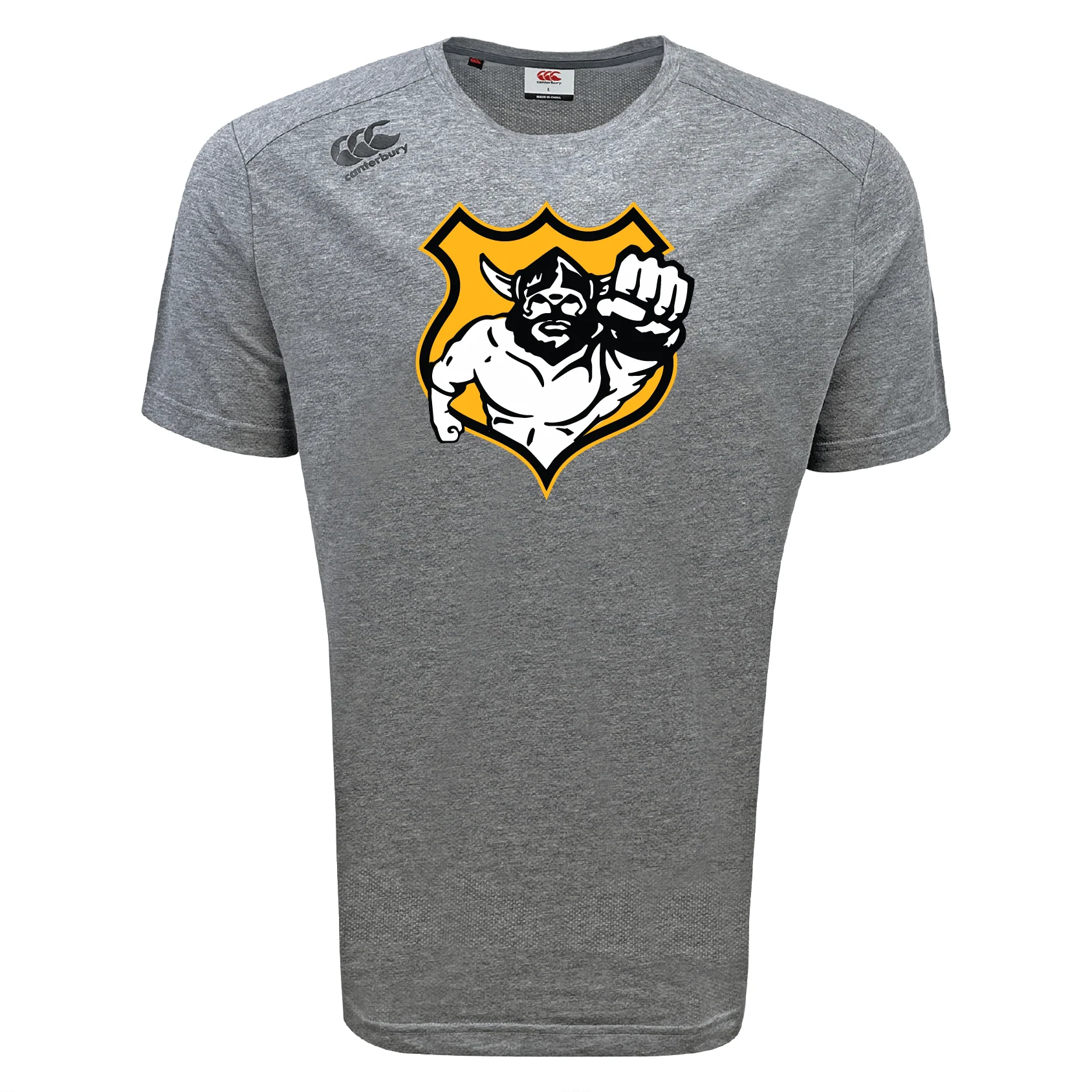 Seattle Vikings Rugby Tempo Vapodri T-Shirt by Canterbury - Image 5