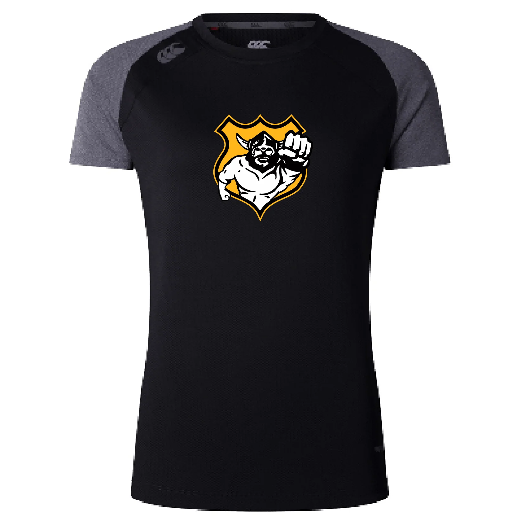 Seattle Vikings Rugby Women's Elite Training Tee by Canterbury