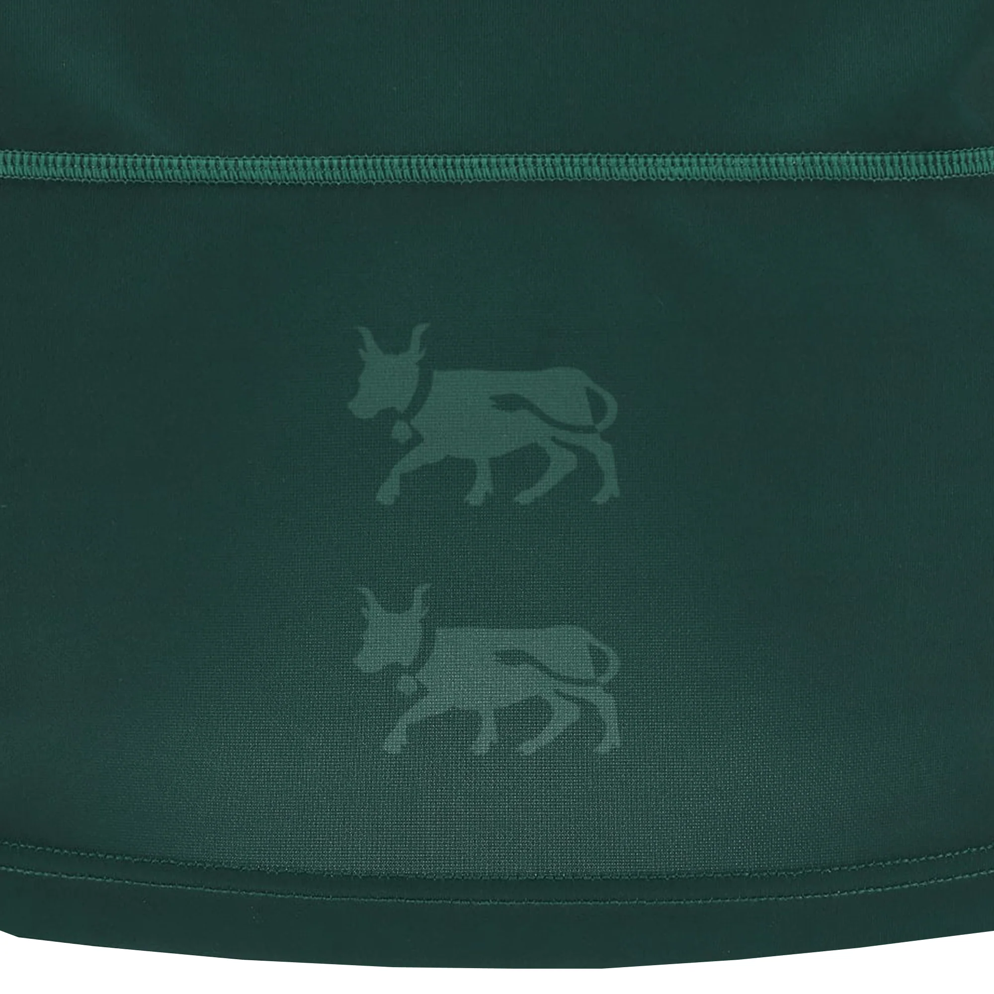 Section Paloise Rugby 24/25 Replica Home Jersey by Macron - Image 6