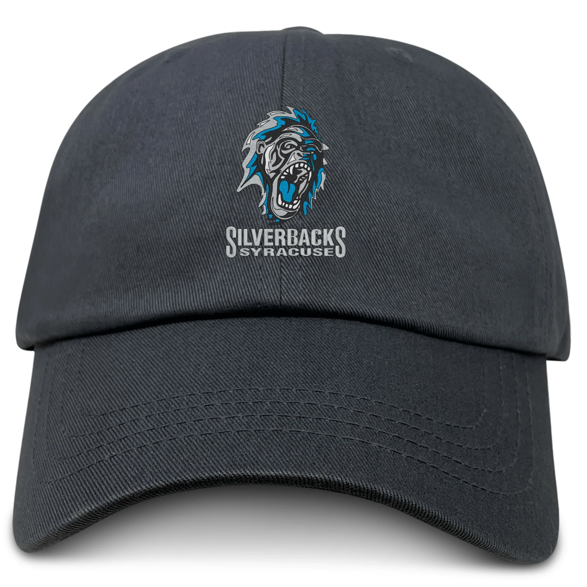 Syracuse Silverbacks Adult Low-Profile Cotton Twill Dad Cap - Image 3