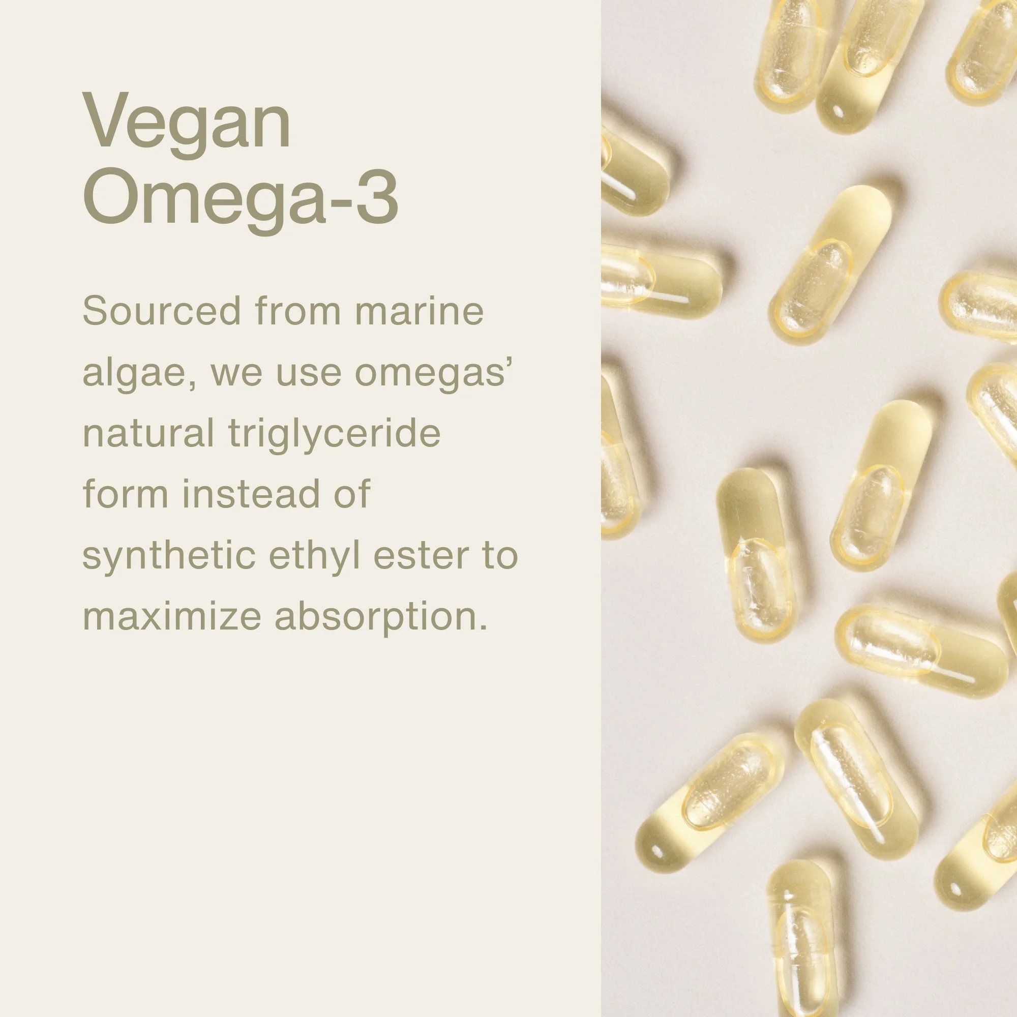 The Momentous Three - Vegan - Image 6