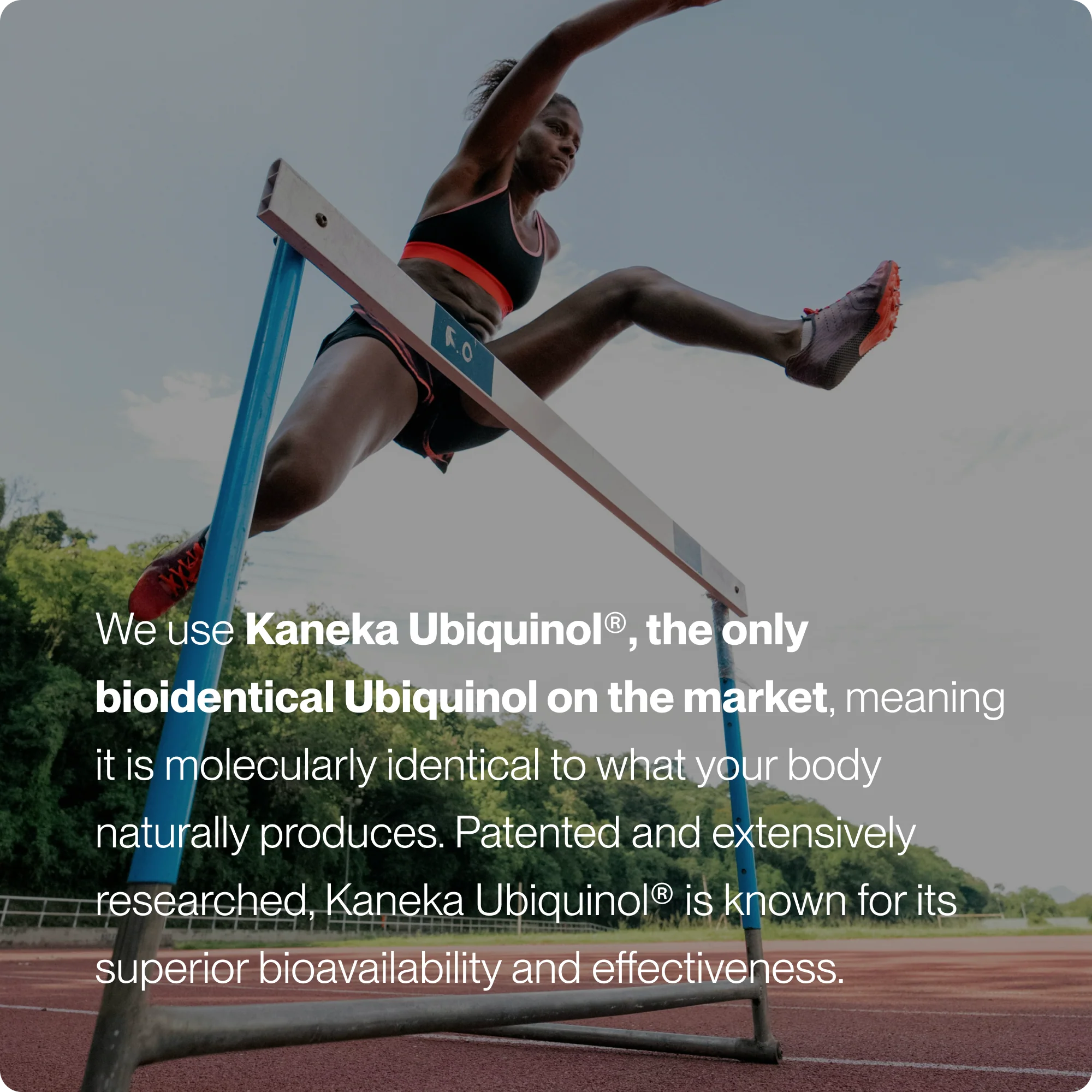 Momentous Ubiquinol - Image 4