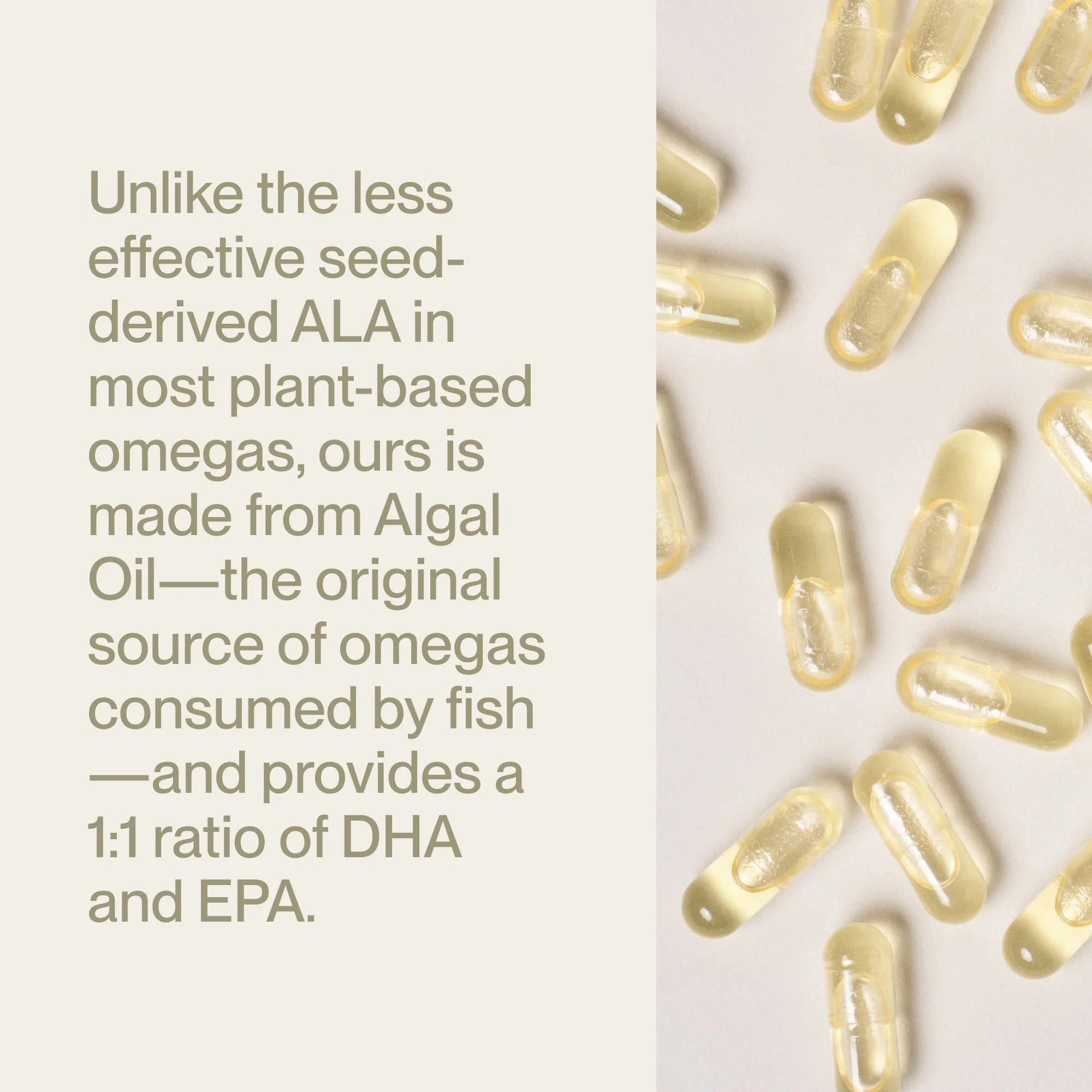Momentous Vegan Omega-3 - Image 3