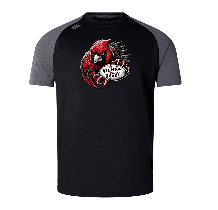 Vienna Rugby Elite Training Tee by Canterbury