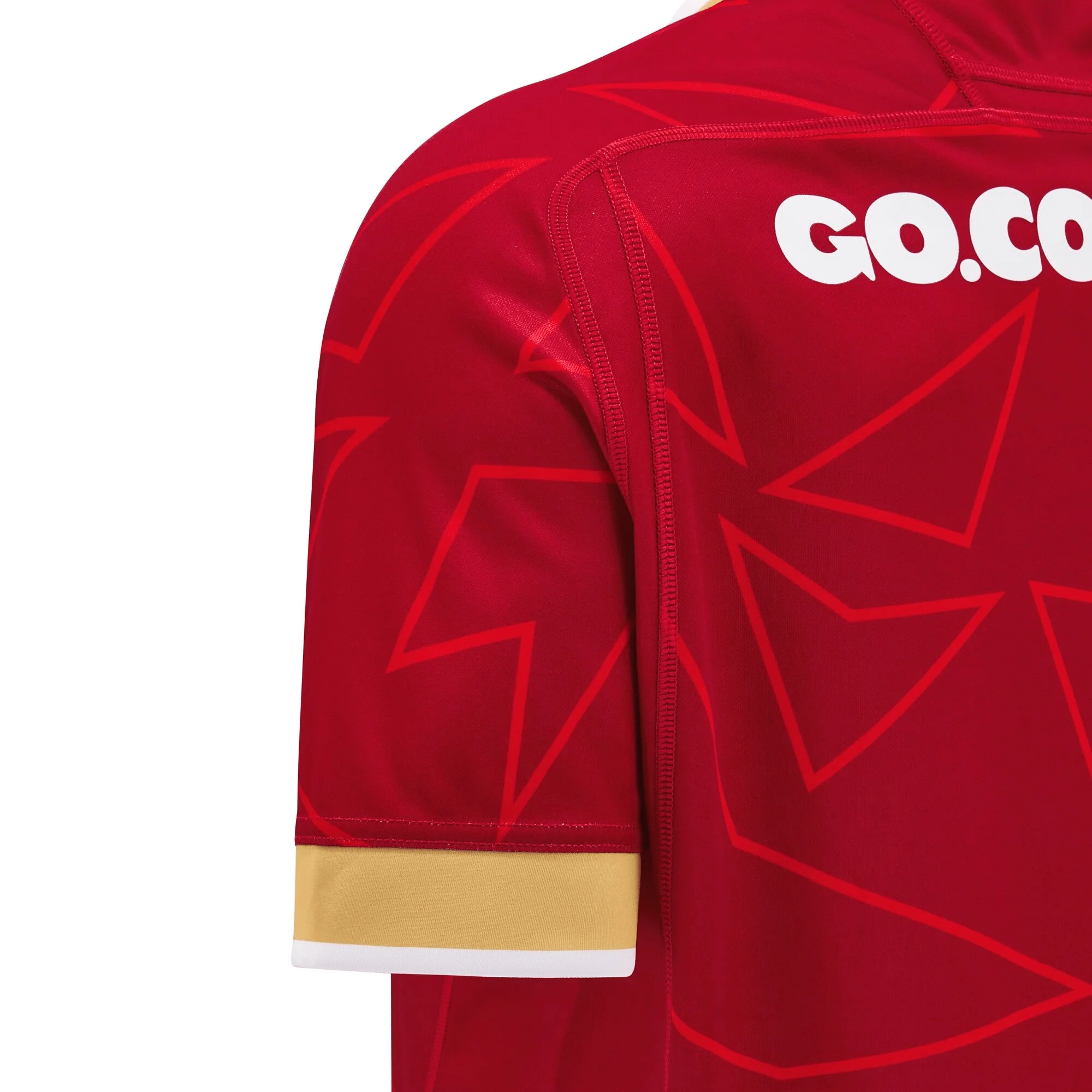 Wales 24/25 Pathway Home Jersey by Macron - Image 6