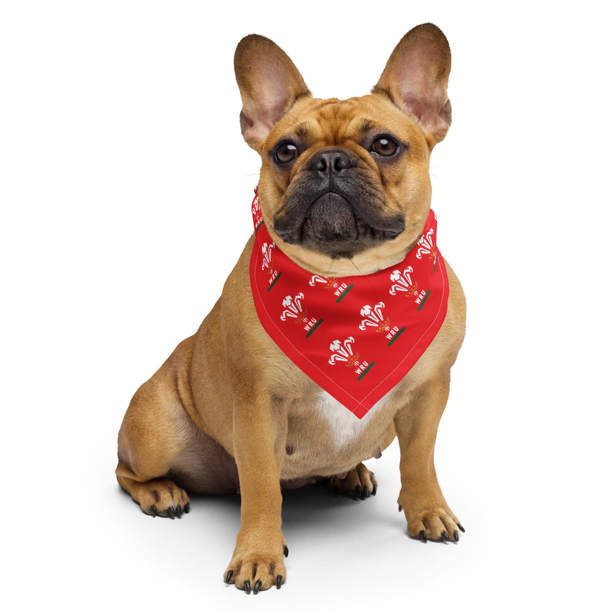 Wales Rugby Bandana - Image 4