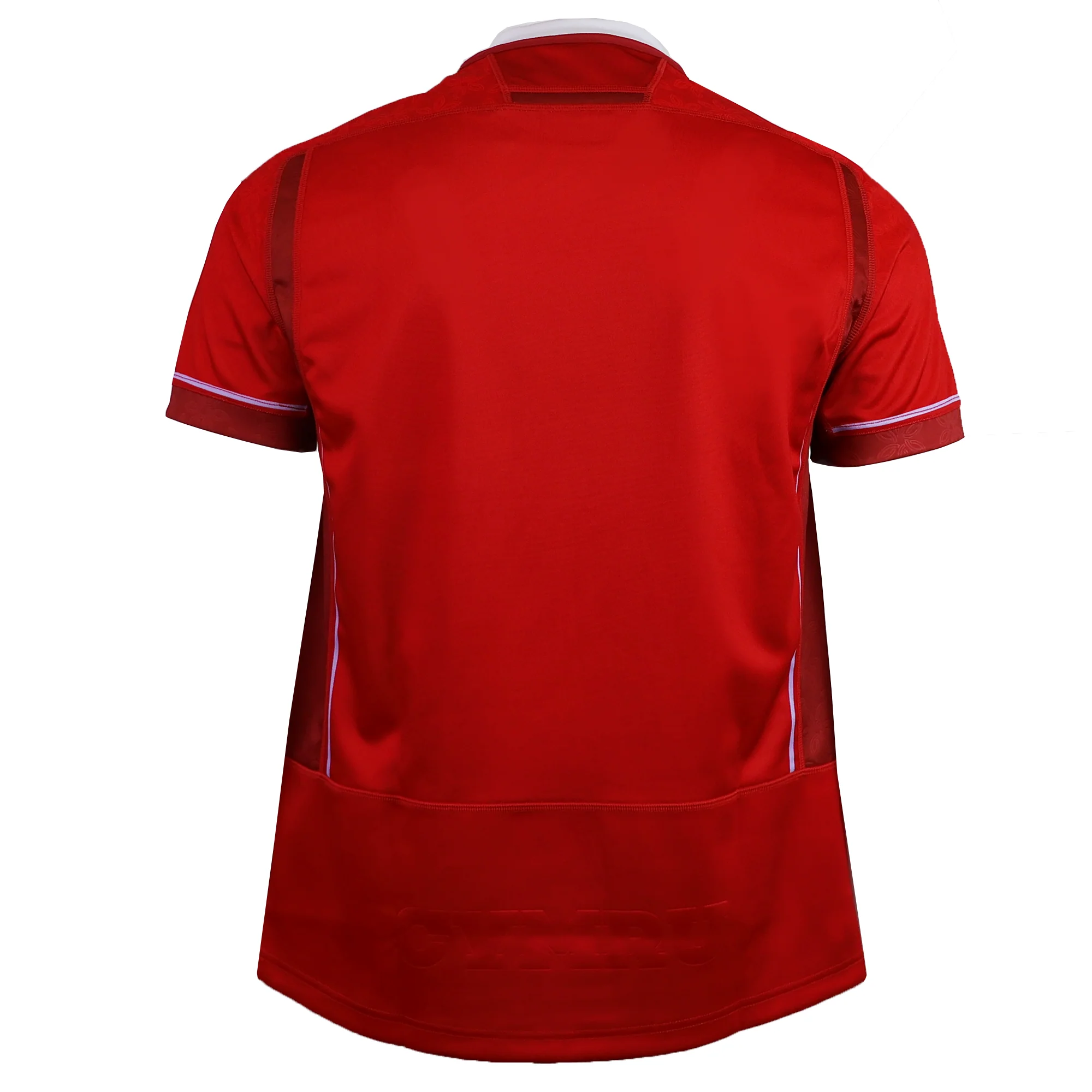 Wales WRWC25 Replica Home Jersey by Macron - Image 2