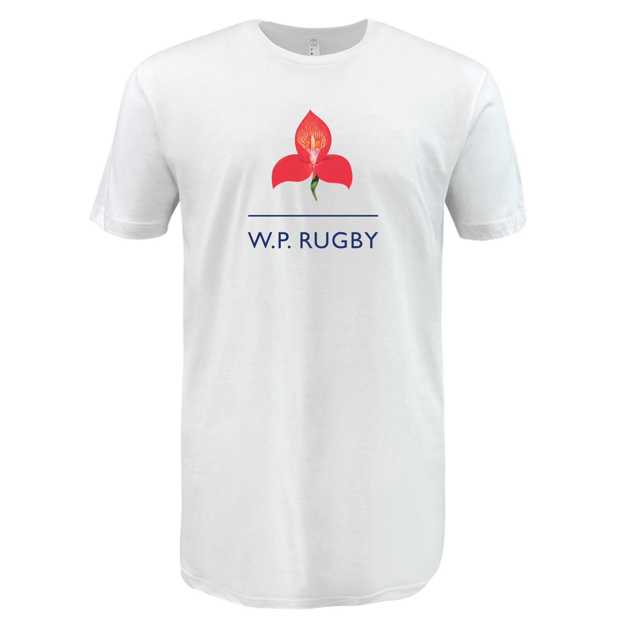 Western Province Supersoft T-shirt - Image 2
